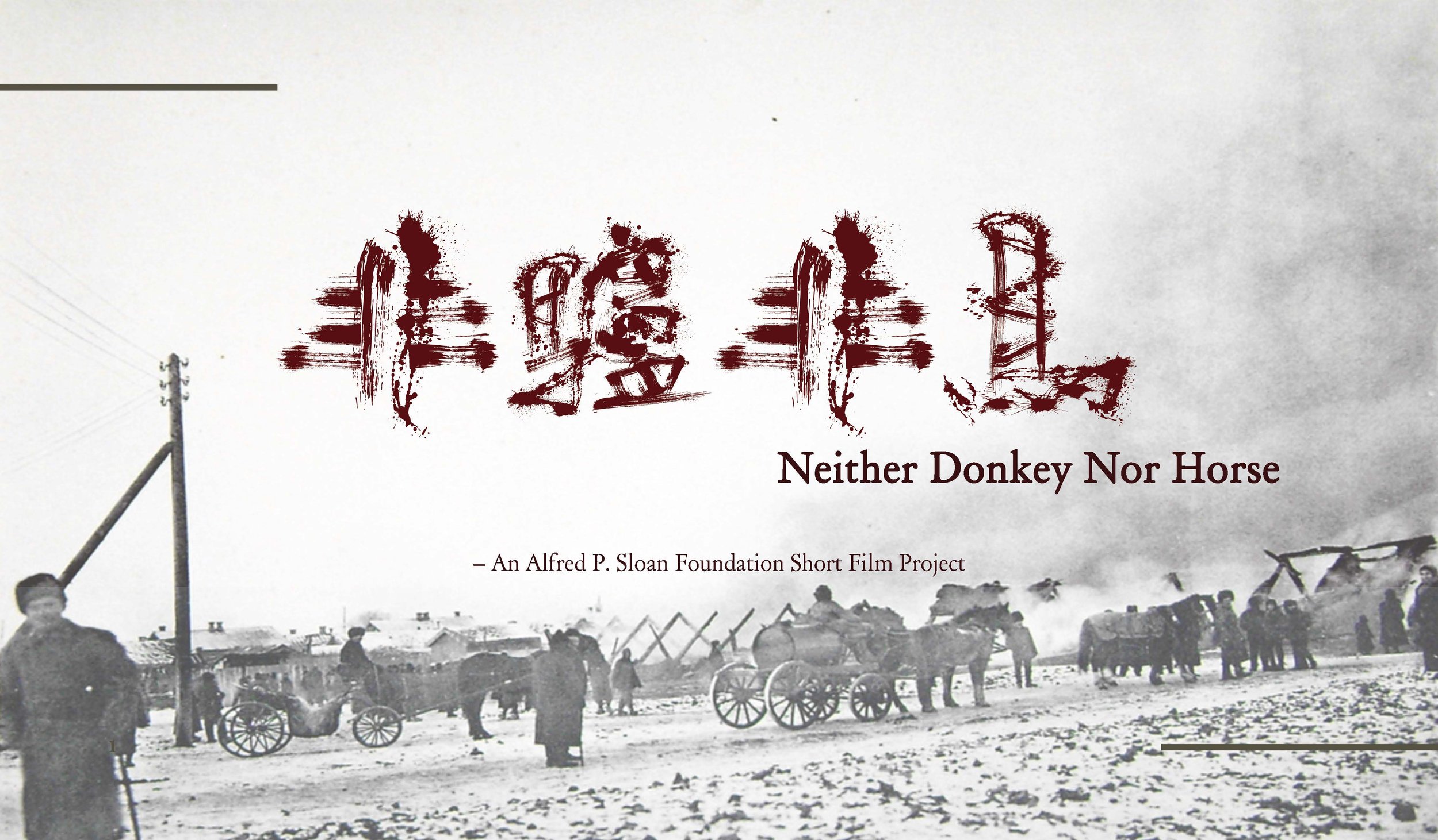 Neither Donkey Nor Horse Pitch Deck 0502 1.jpg