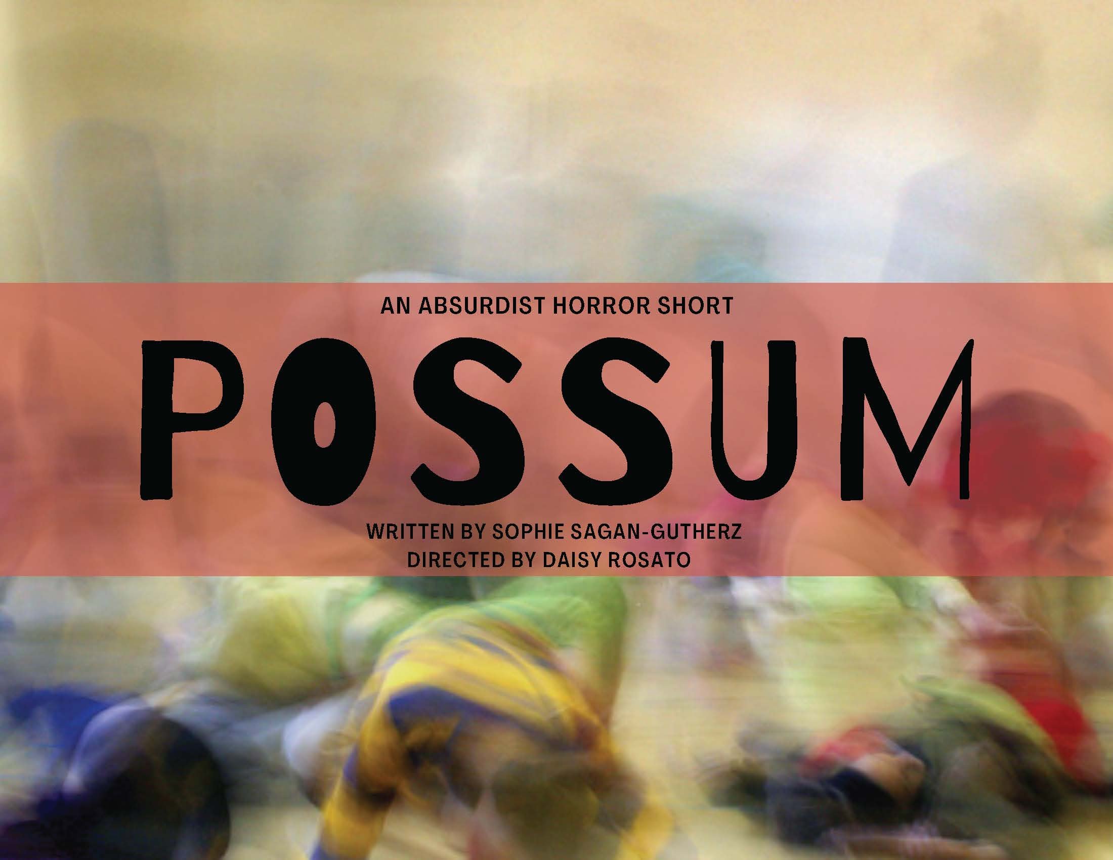POSSUM - Lookbook_Page_01.jpg