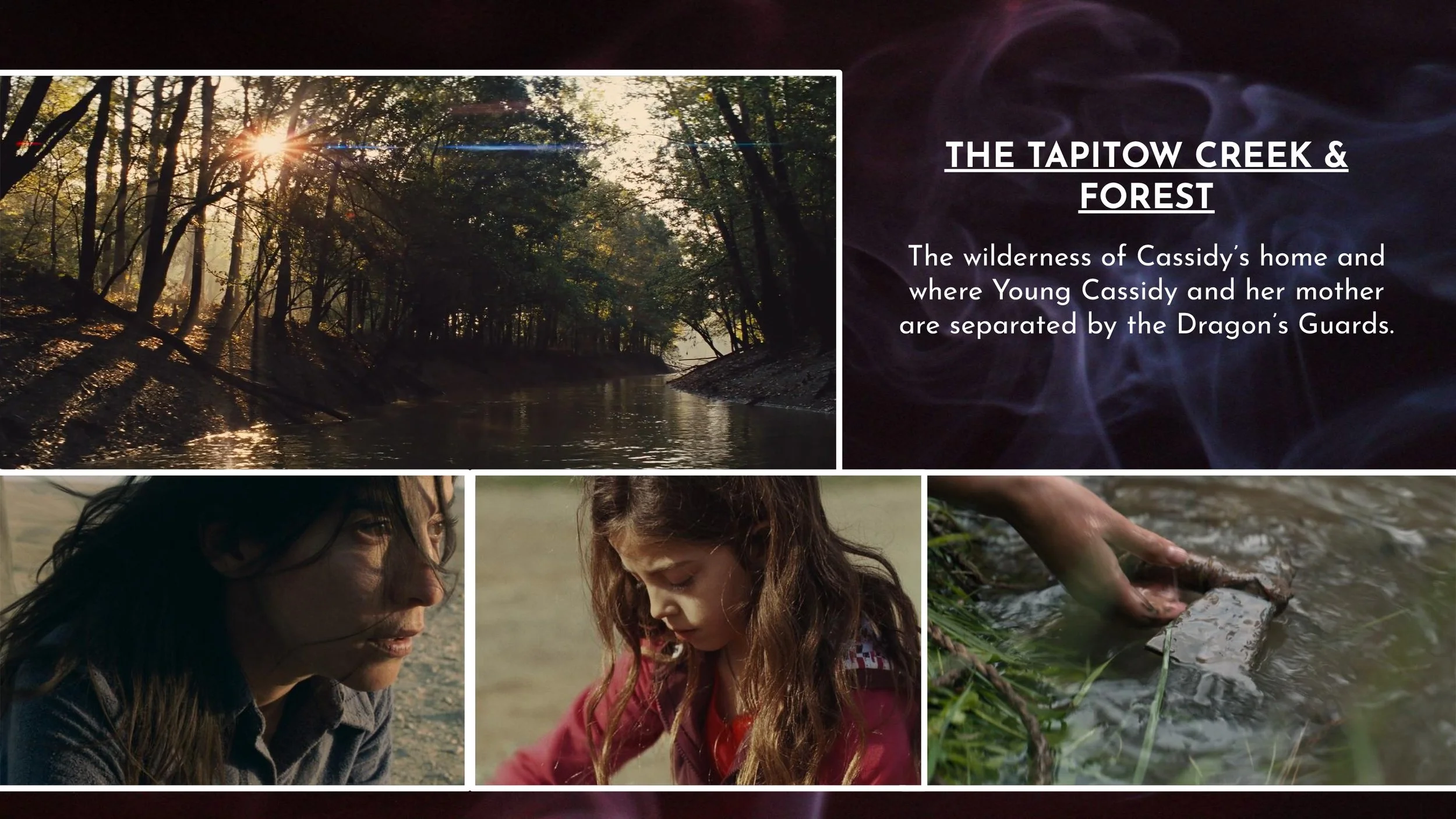 DarkDays_SHORT_PITCH_DECK_StoweFiscalAgency_Page_18_v2.jpg