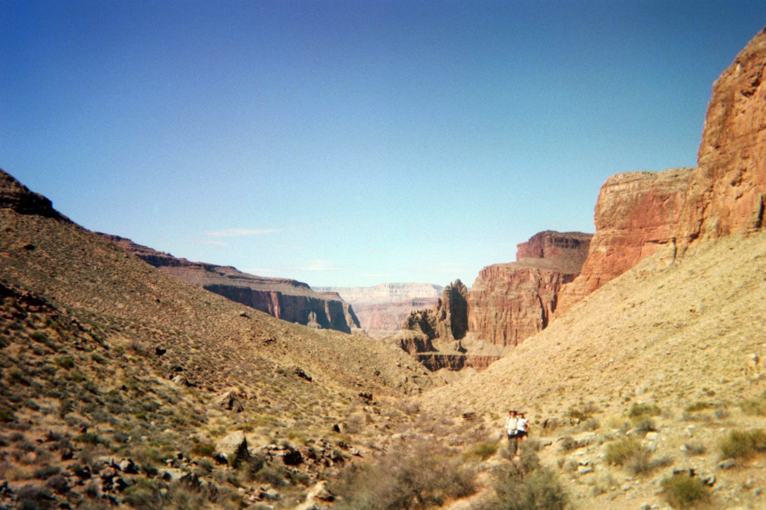 2021-04-14_16-10-13_000 (2021-08-09T02_32_06.937).jpeg