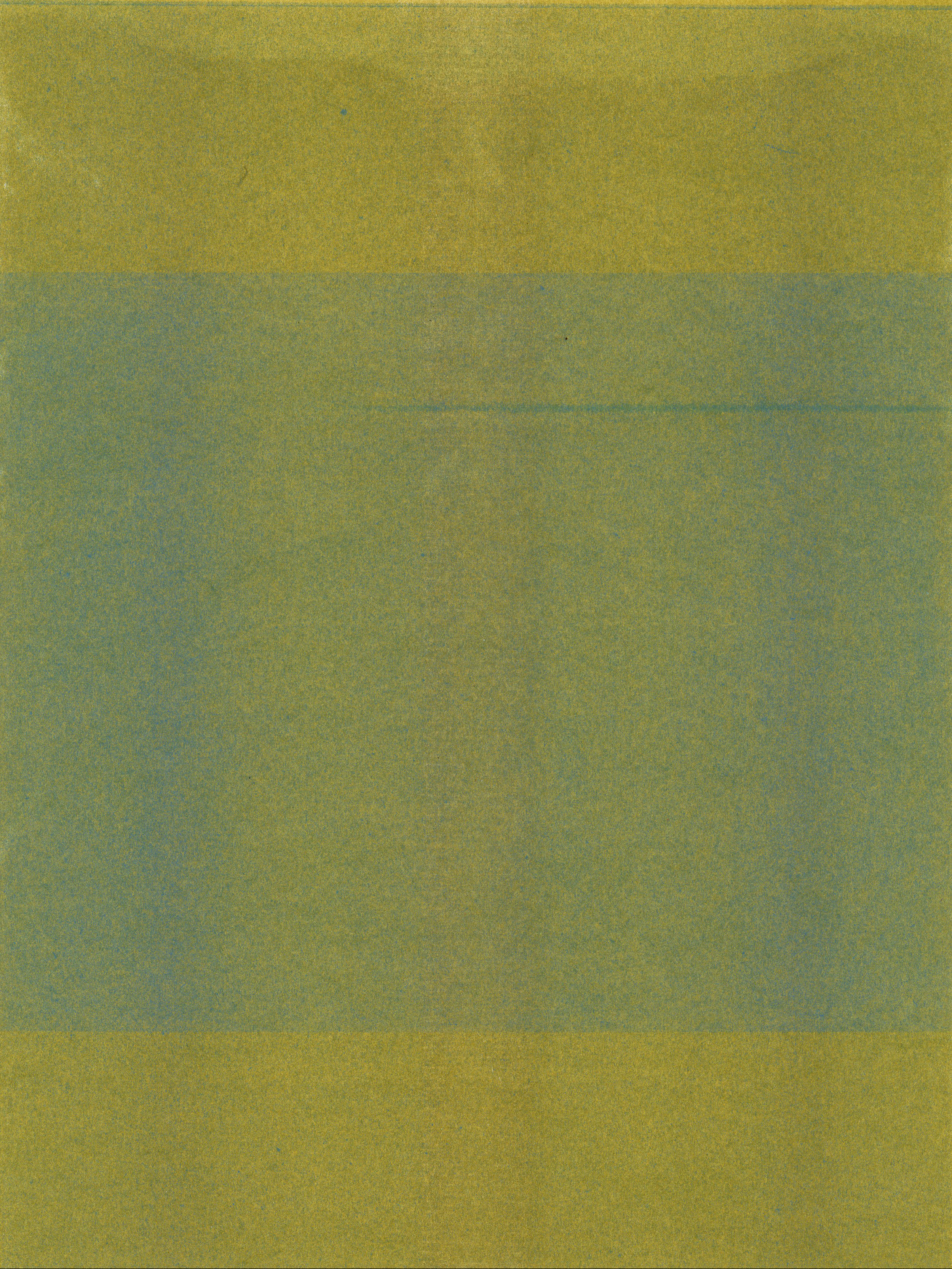 kelp.jpg