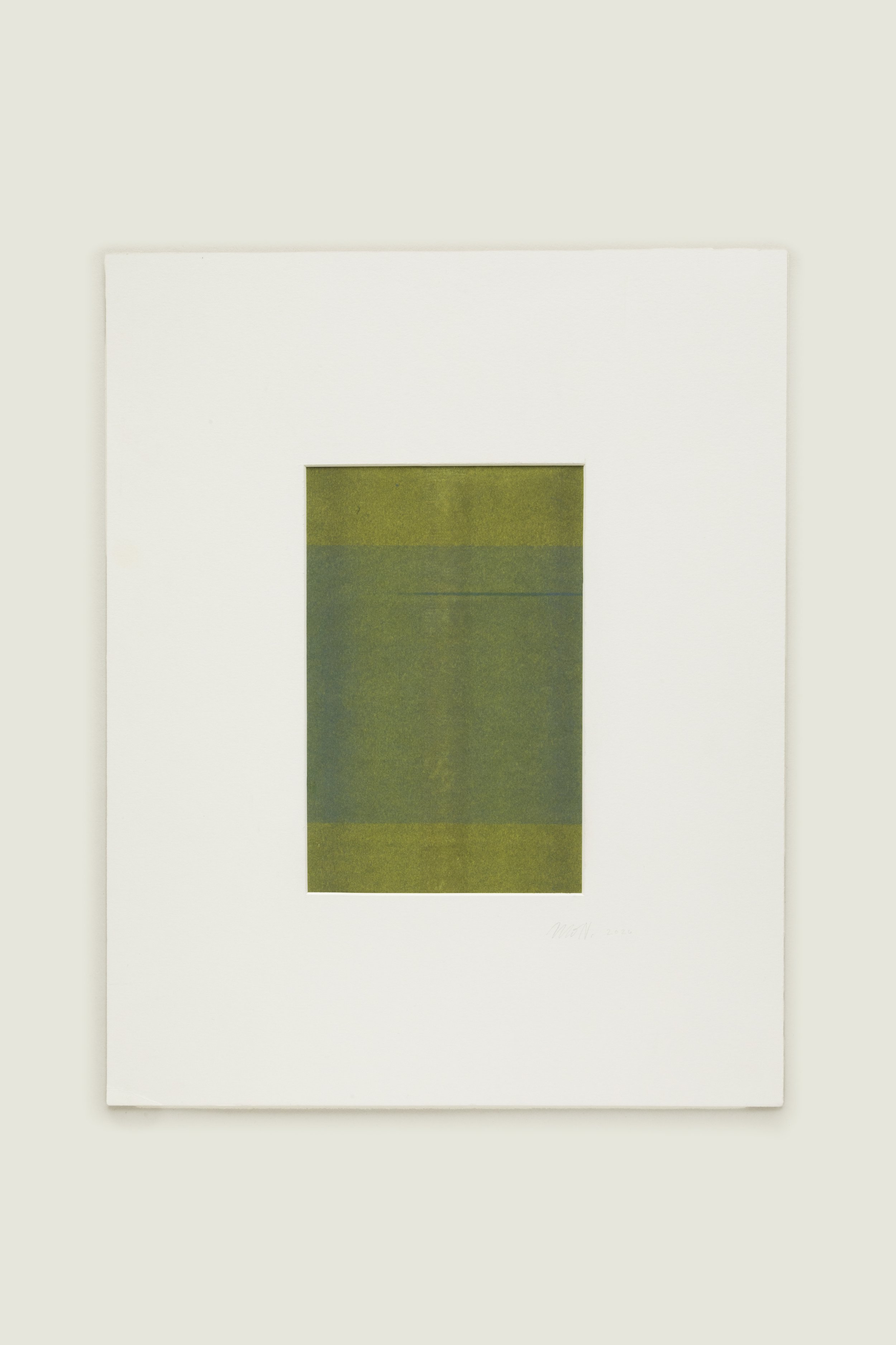 kelp [mat].jpg