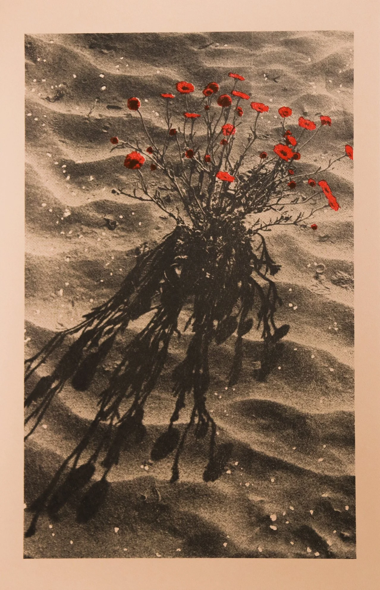 crop flowers.jpg