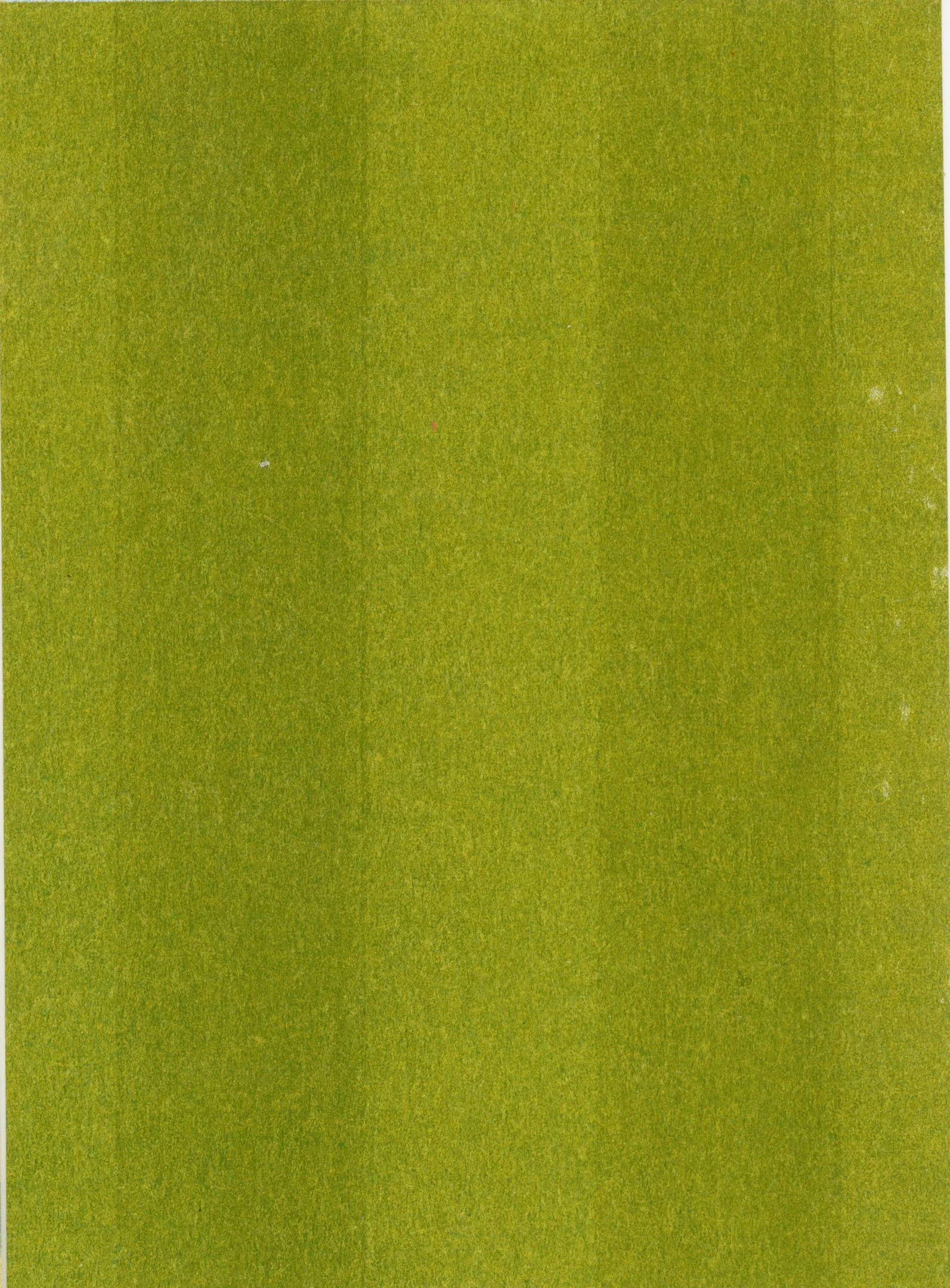 green strips 1 copy.jpg
