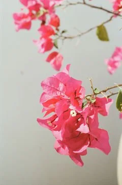 fbd7c489faf79b046c79d8259b0e23bb-small.jpg