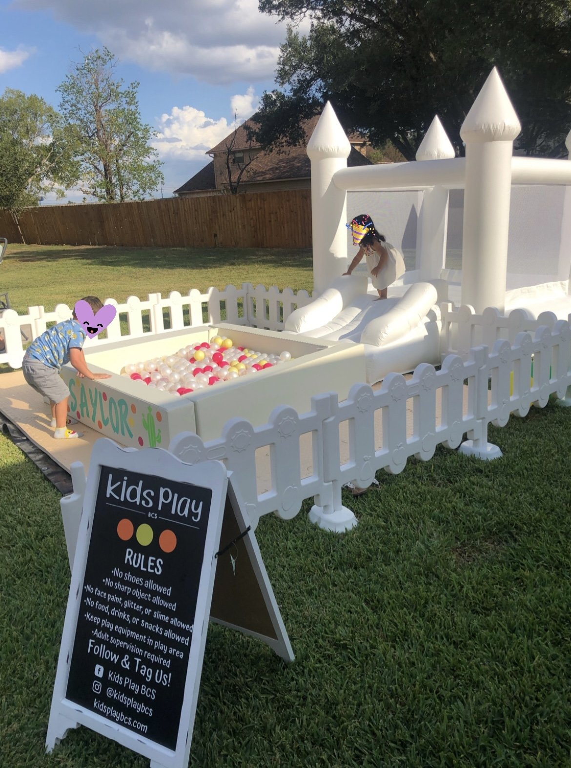Ball Pit Rental