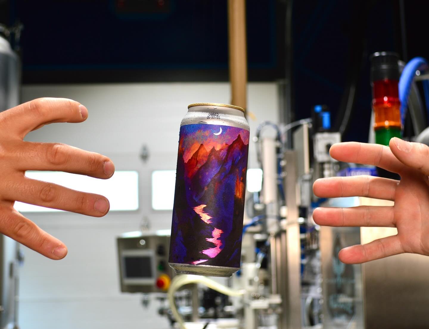 As you know, tomorrow marks 4 trips around the sun for us here at Wayward Lane. To celebrate this momentous occasion we collaborated with one of our absolute favorite breweries to produce a stunning new lager!

Between Us - Oak Aged German Style Pils