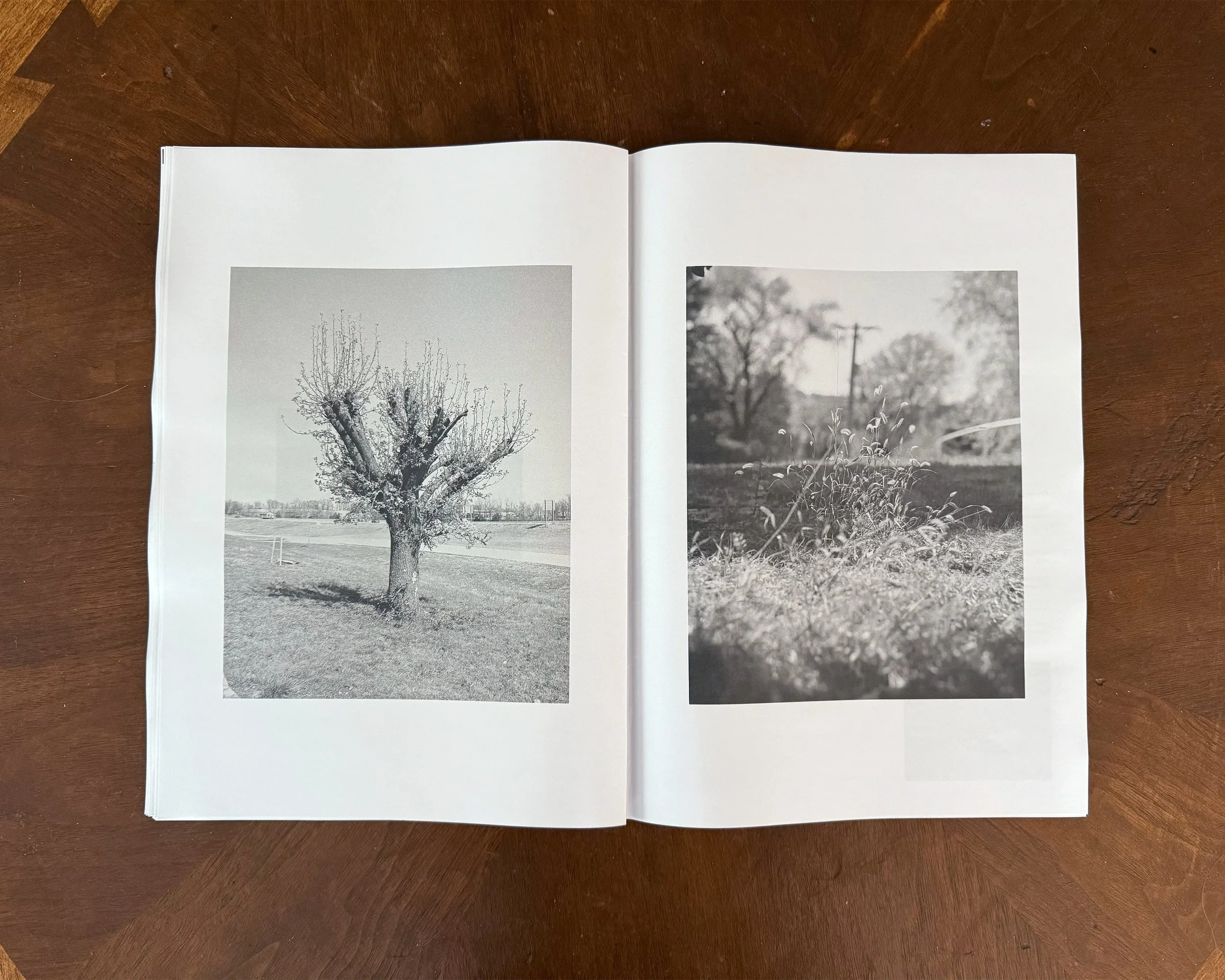 NoHvol3_005.jpg