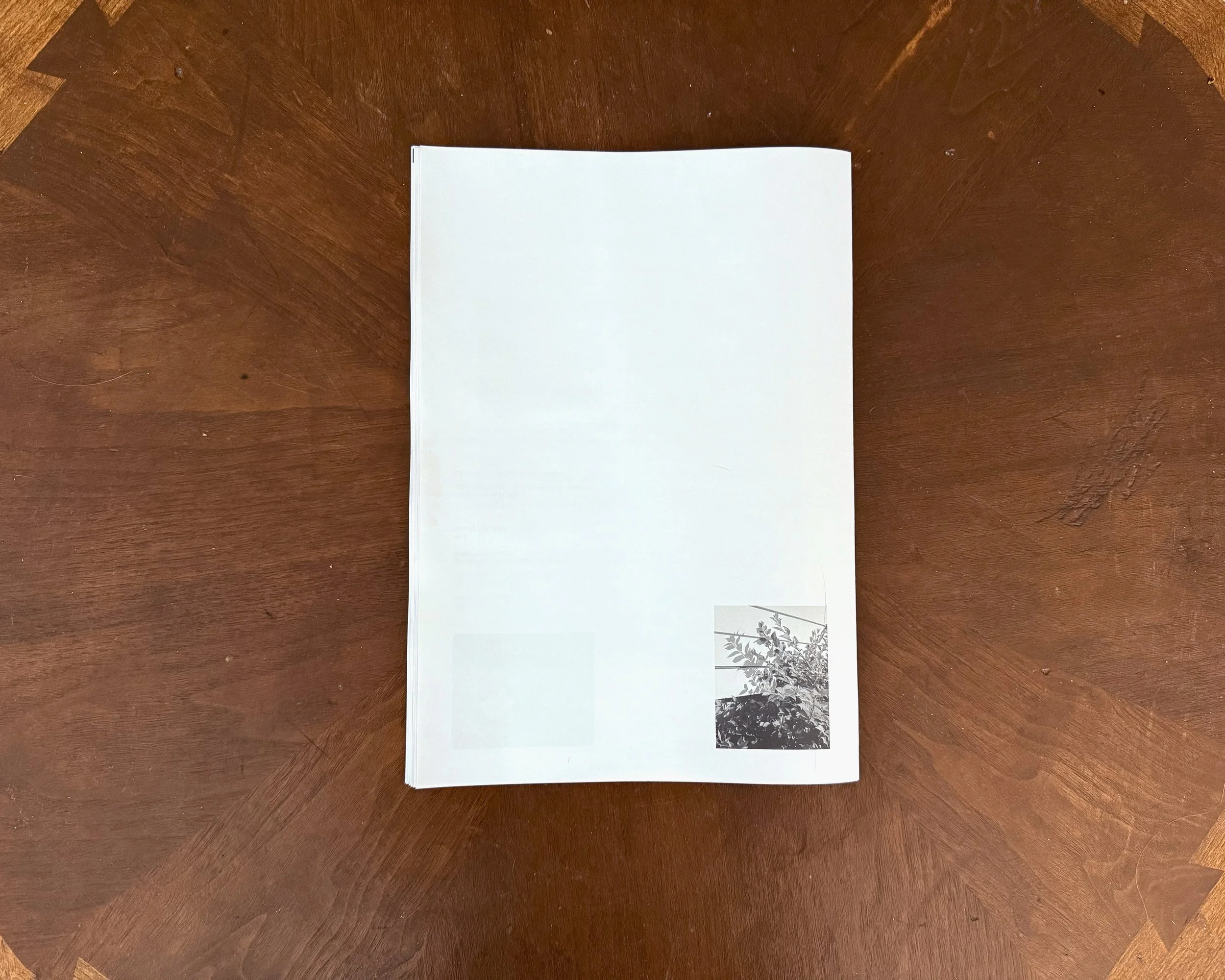 NoHvol3_016.jpg