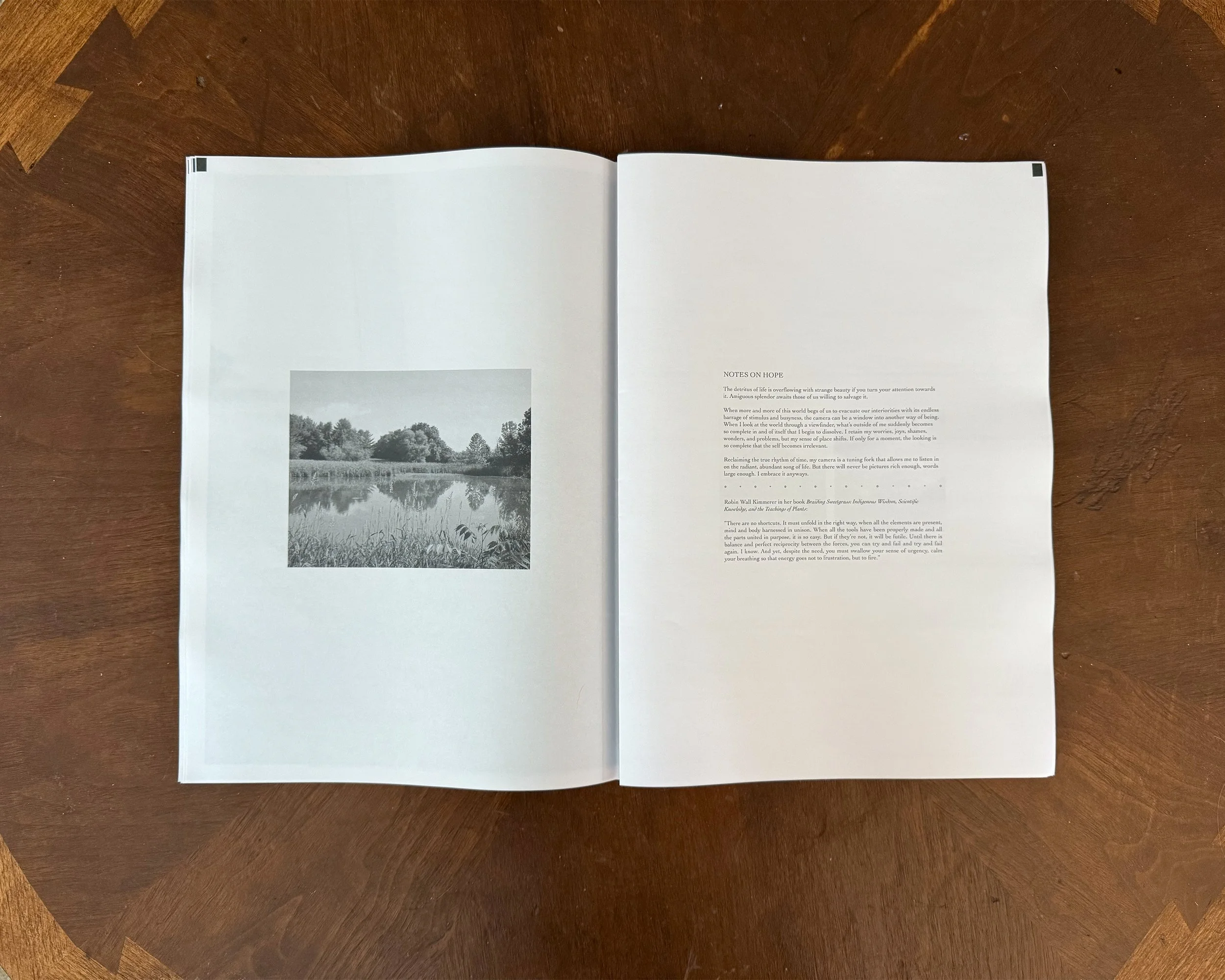 NoHvol3_006.jpg