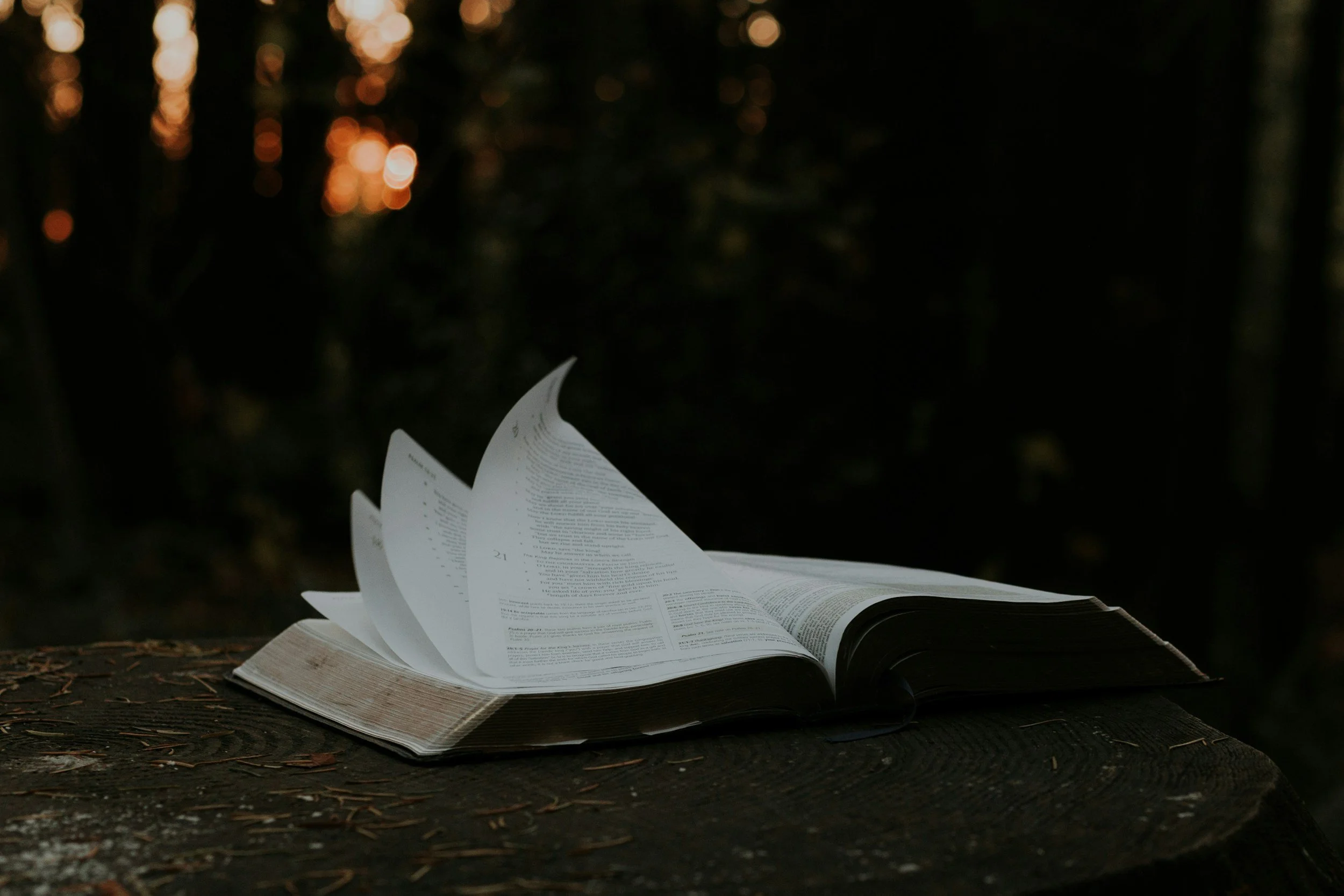 TOK Key Concepts (2025): Simple Explanations and Real Examples