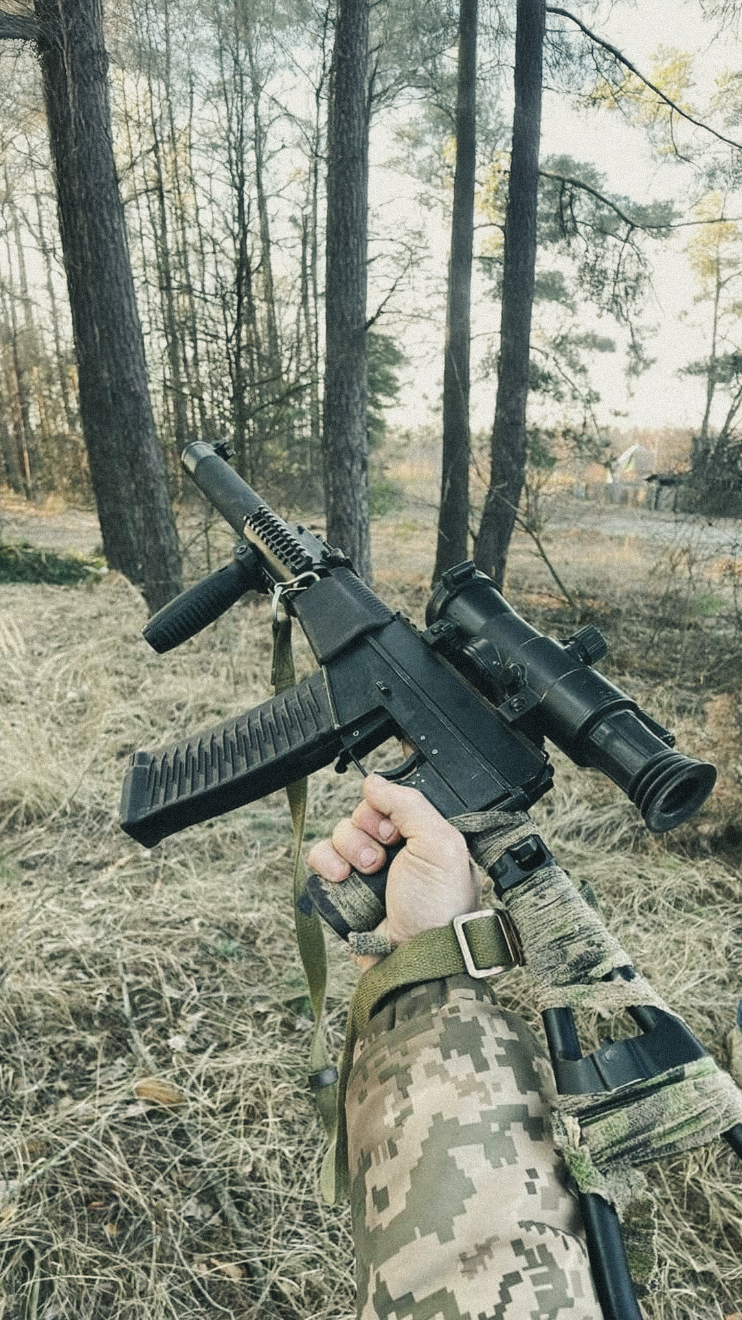 VSS.png