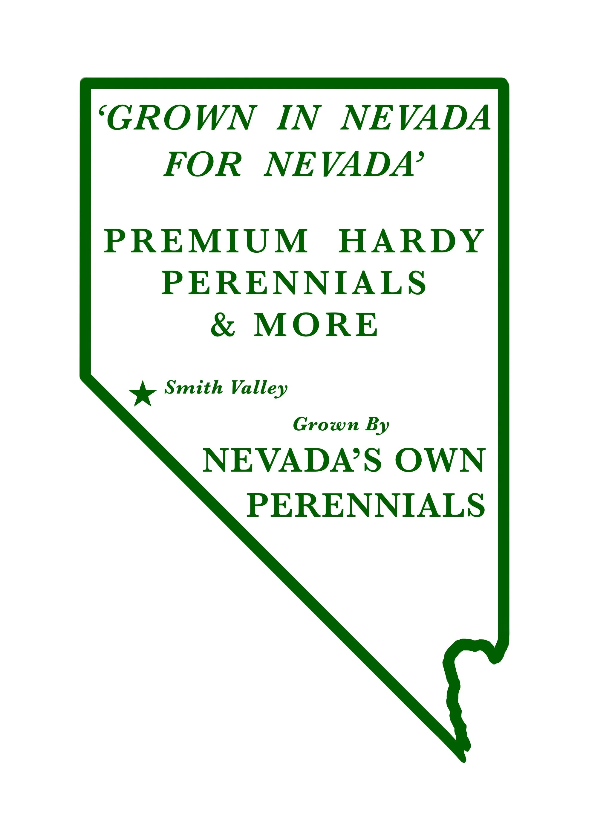 Nevadasown.com