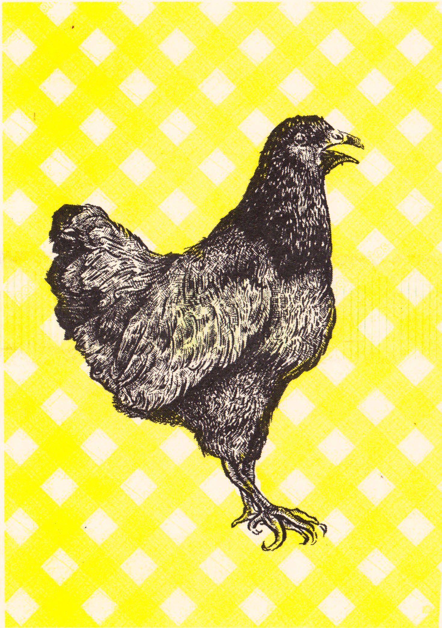 andiePeach_chicken_01.jpg