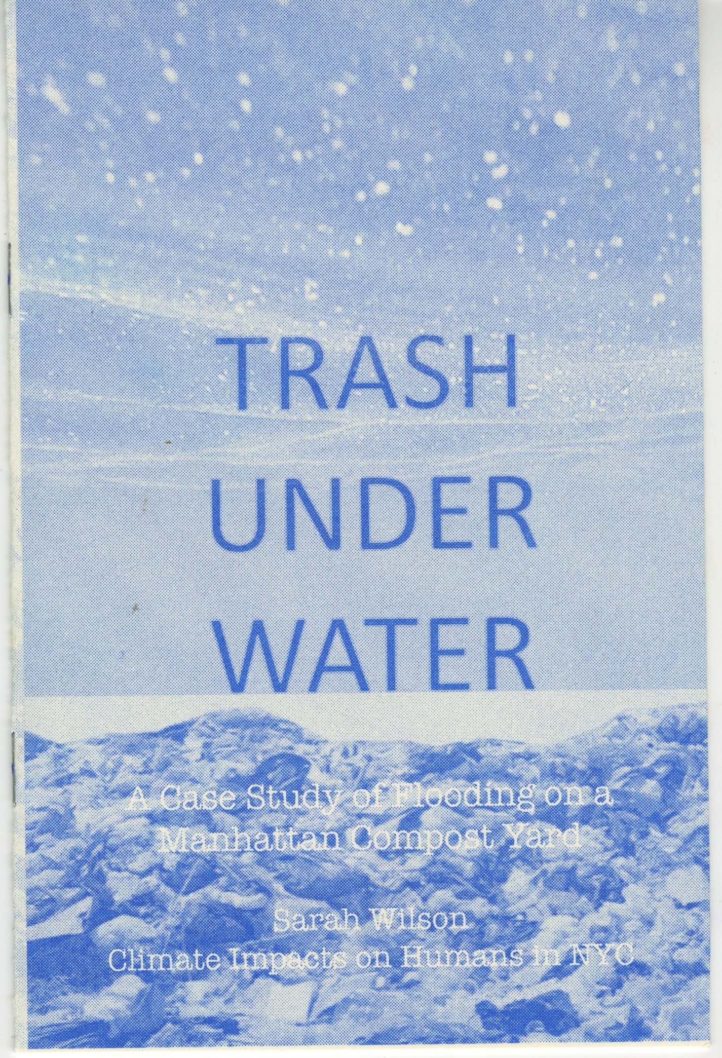 NYCClimateZinesSarahWilson_TrashUnderWater_1.jpeg