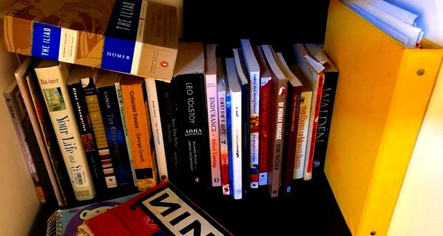 What is the theme of your 2019 story? 