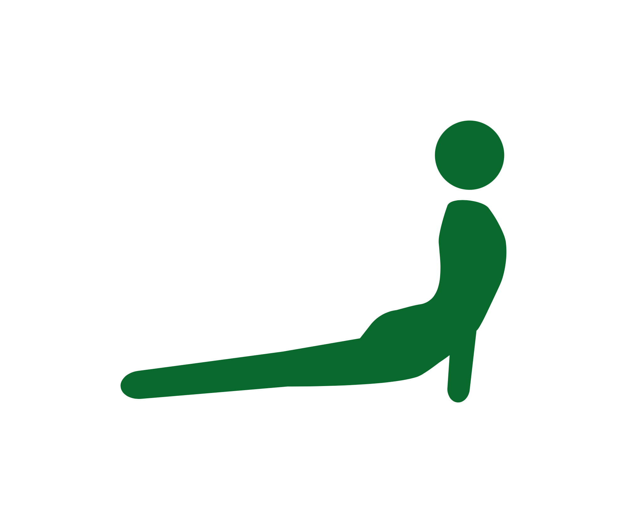 logo-11.png