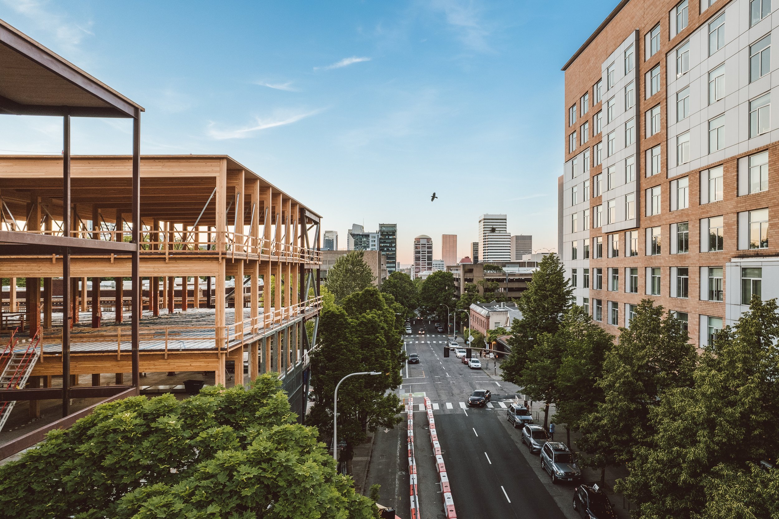 Copy of Copy of 2025_05_27_Timberlab_PSU_Drone-1.jpg