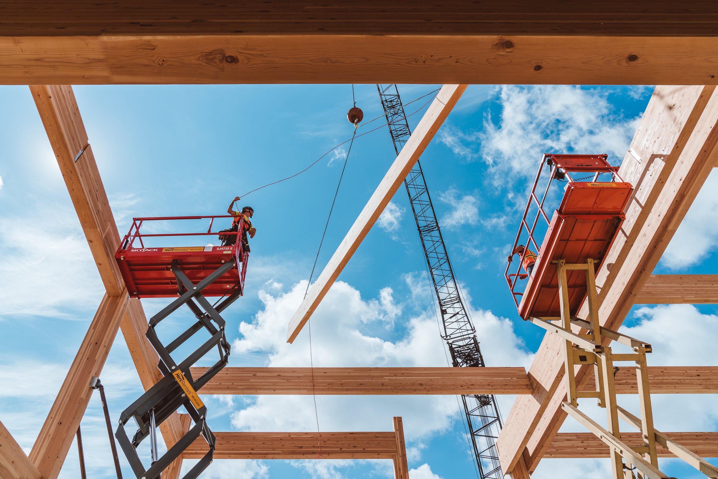 Copy of Copy of 2024_08_16_Timberlab_HP_Edit-15.jpg