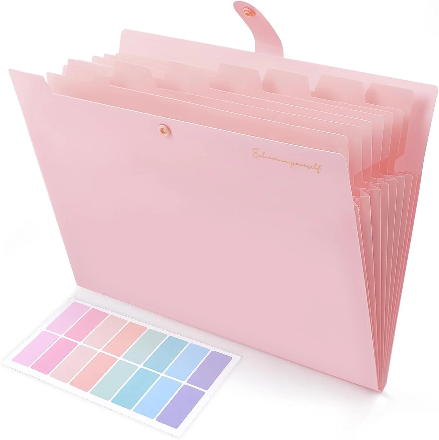 file folder.jpg