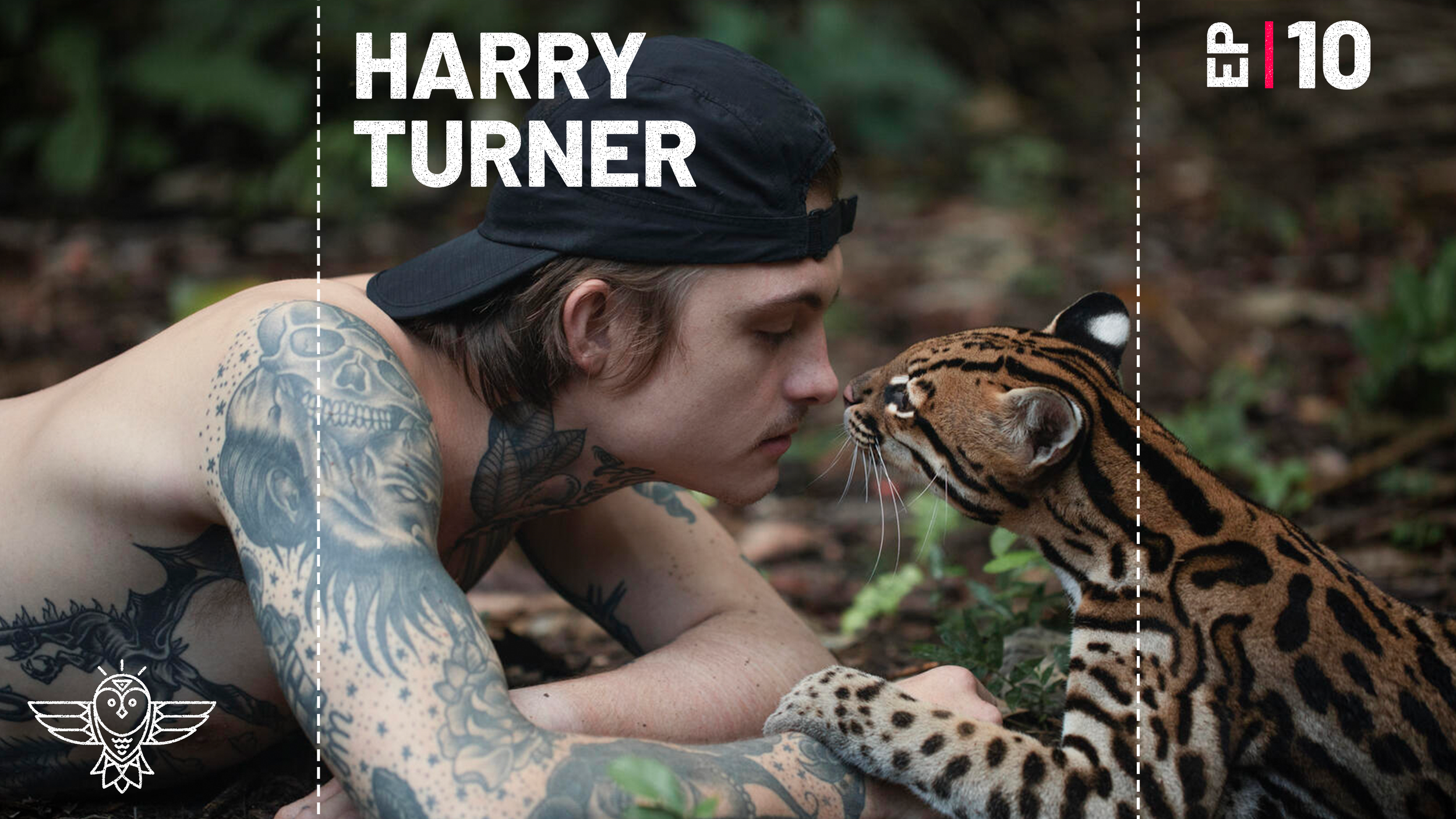 Harry Turner And The Wildcat