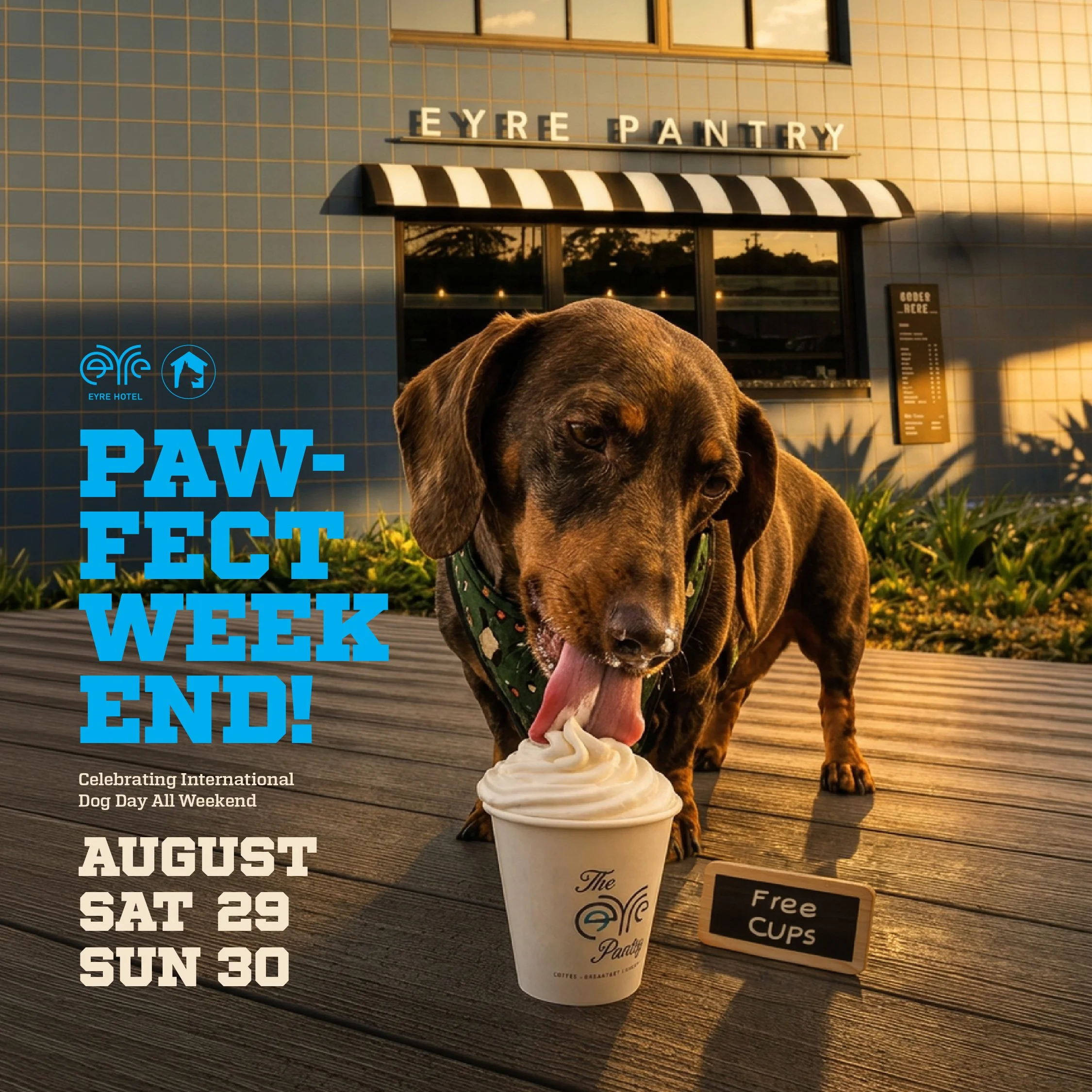 Paw-fect weekend August 29 + 30 Eyre Hotel