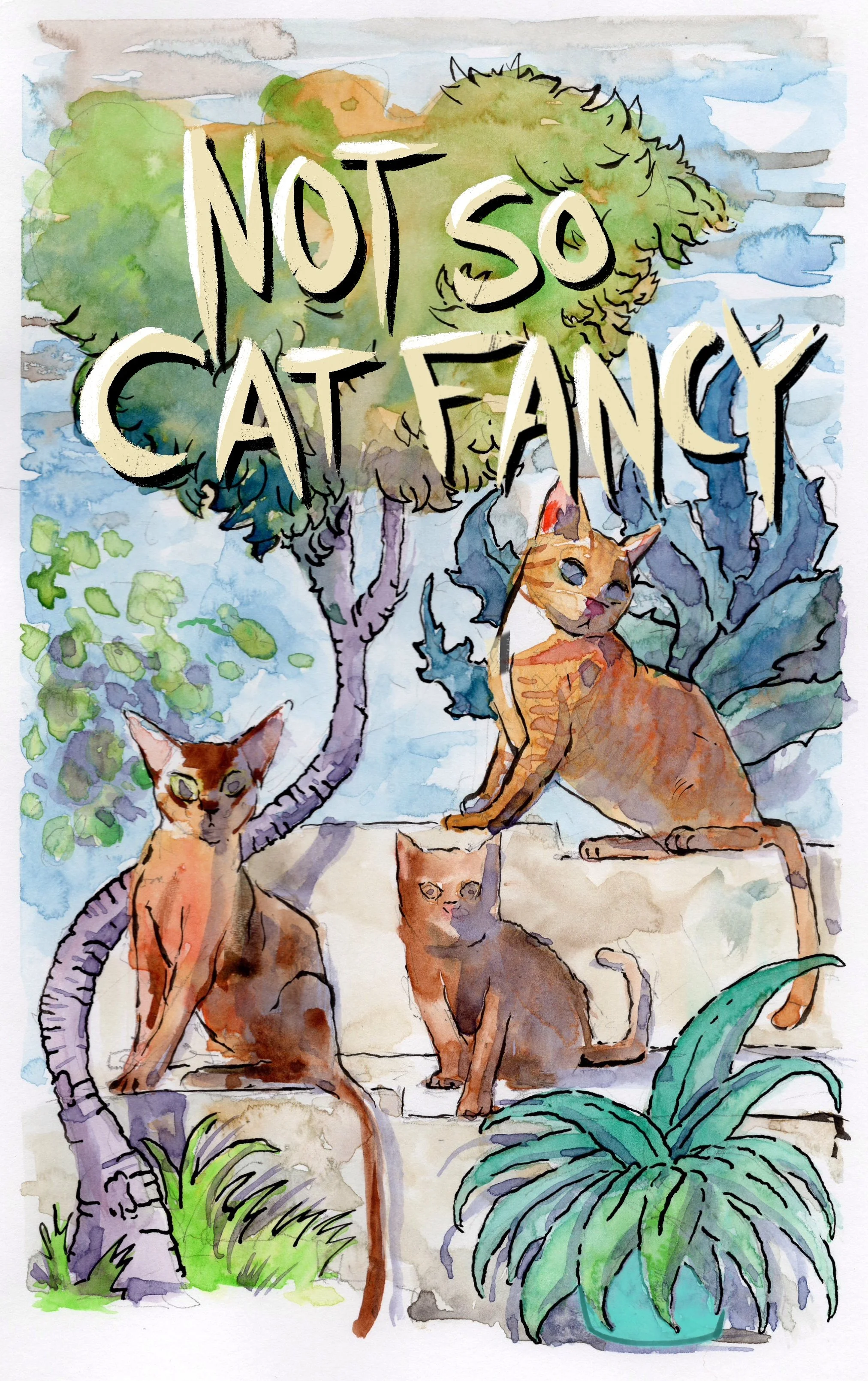 Cat fancy.jpg