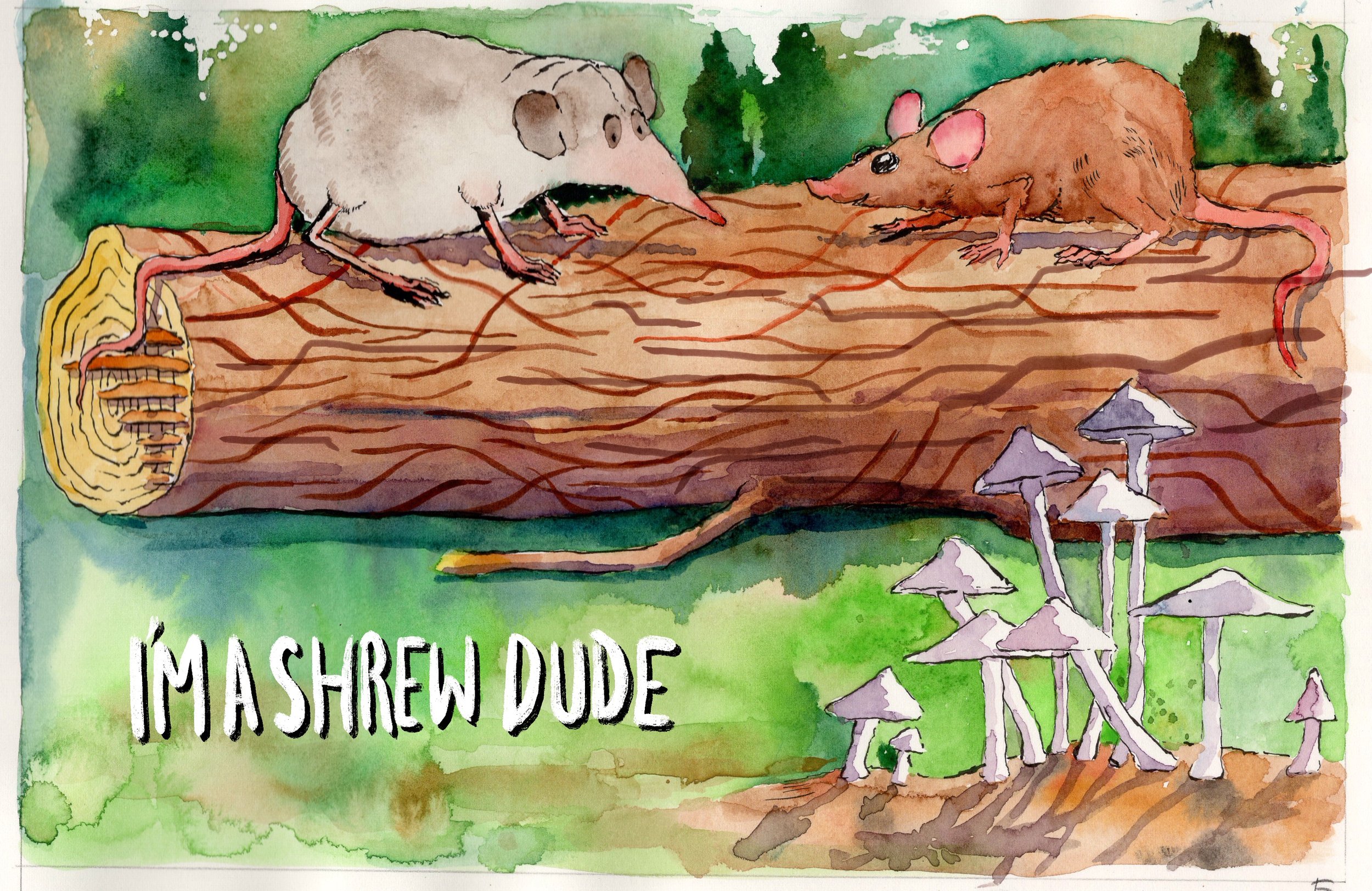 Shrew dude.jpg