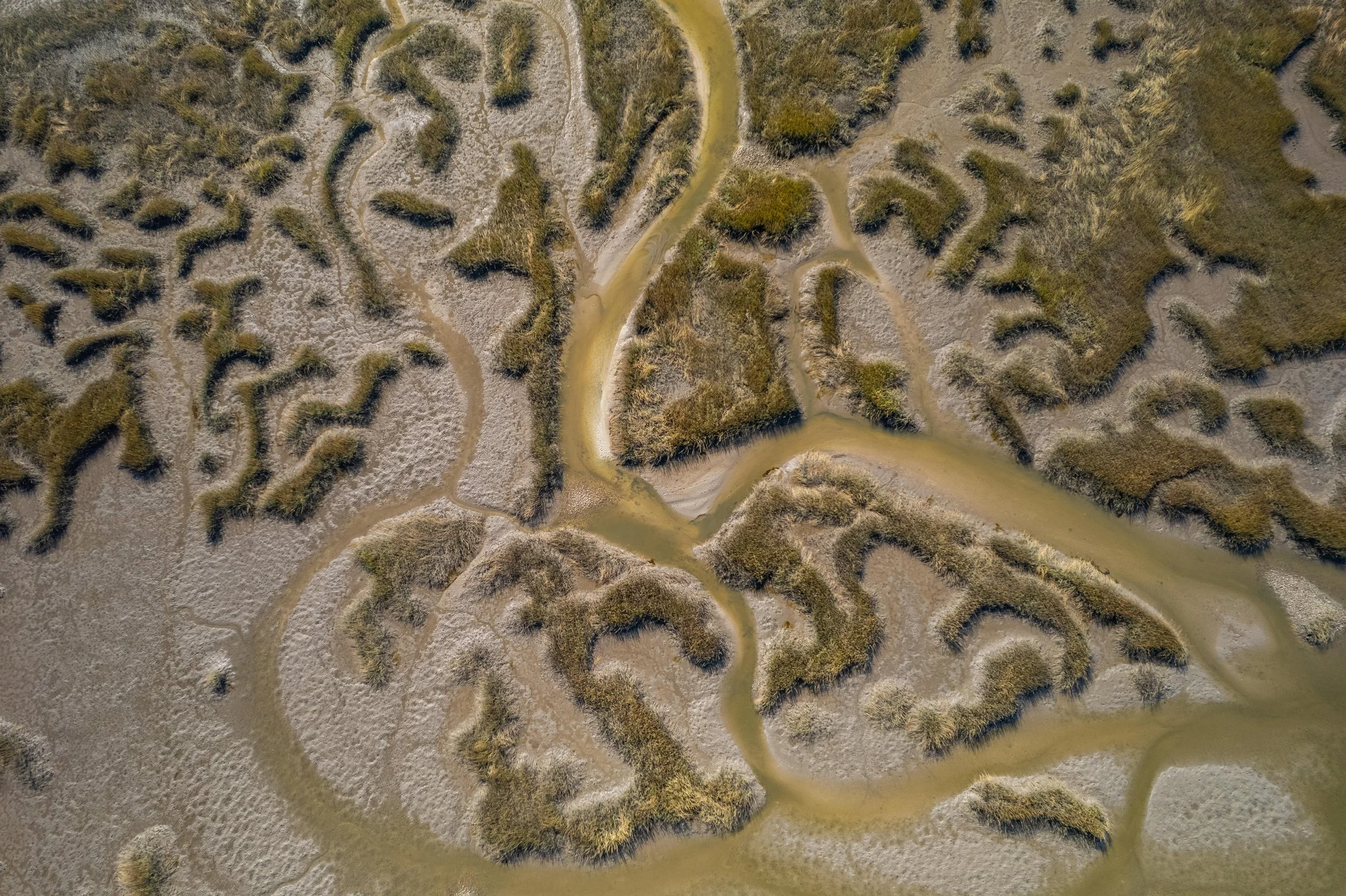 DJI_0121.jpg