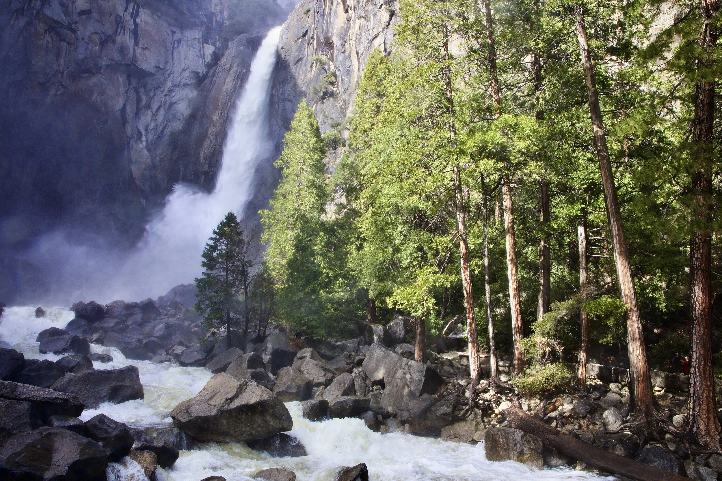 31Yosemite Falls 1.1.26.JPG