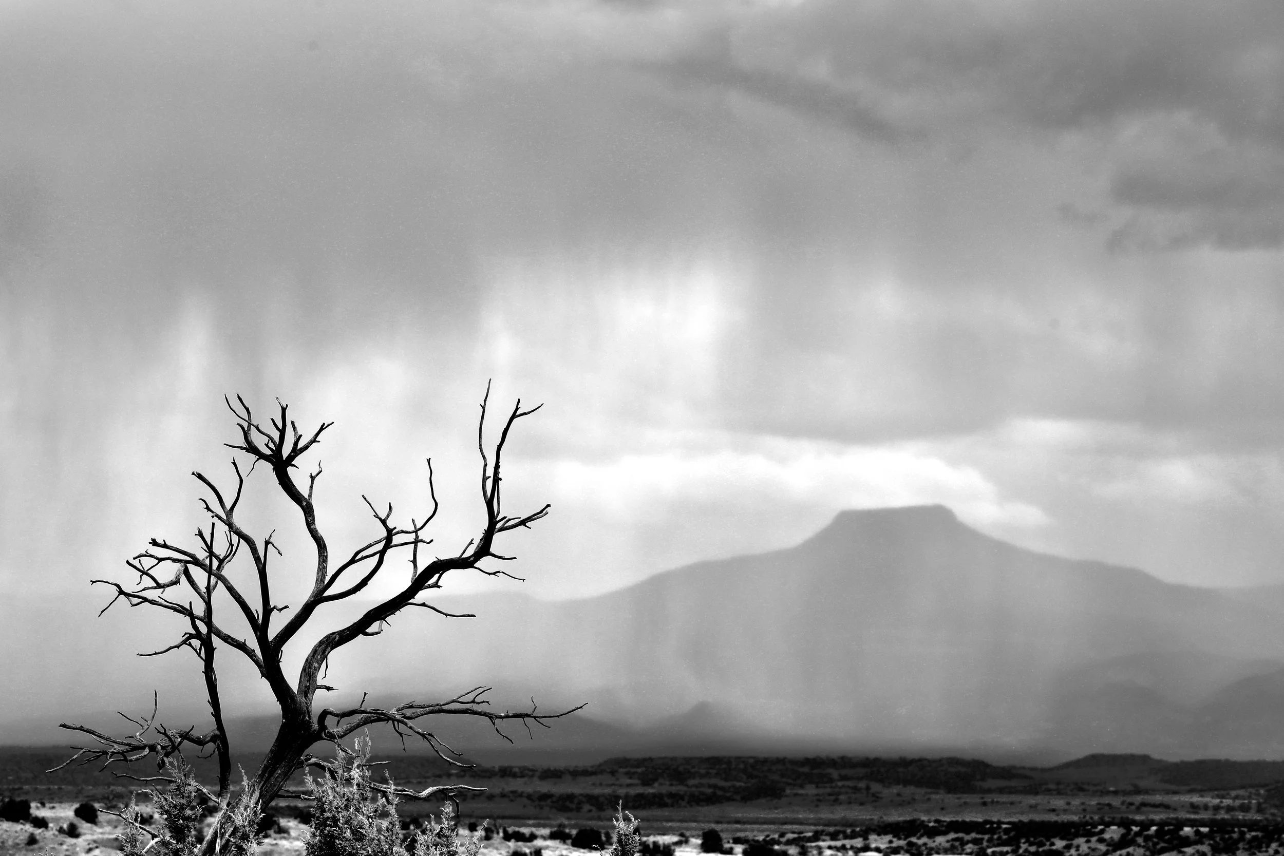 17Pedernal Spring Rain.JPG