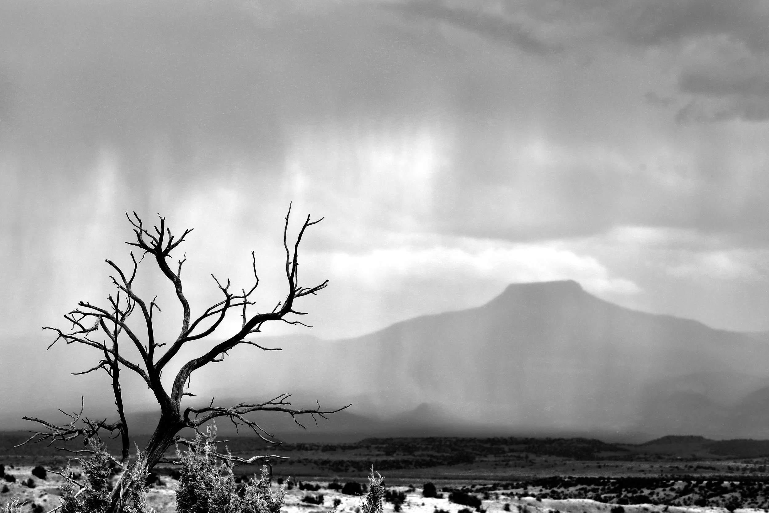 17Pedernal Spring Rain.JPG