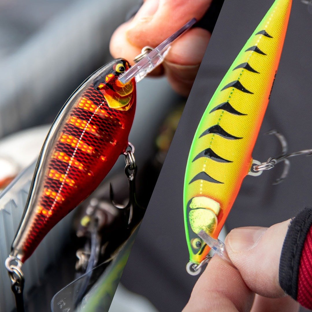 The Elite CountDown and Elite Shad Rap represent the next evolution within the Rapala family. Meet the Rapala Elite Series, Hit the 🔗 to find out more: https://brnw.ch/21wIRQO
@rapalacanada @rapala