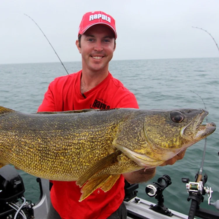 Fish TV Team — Fish TV