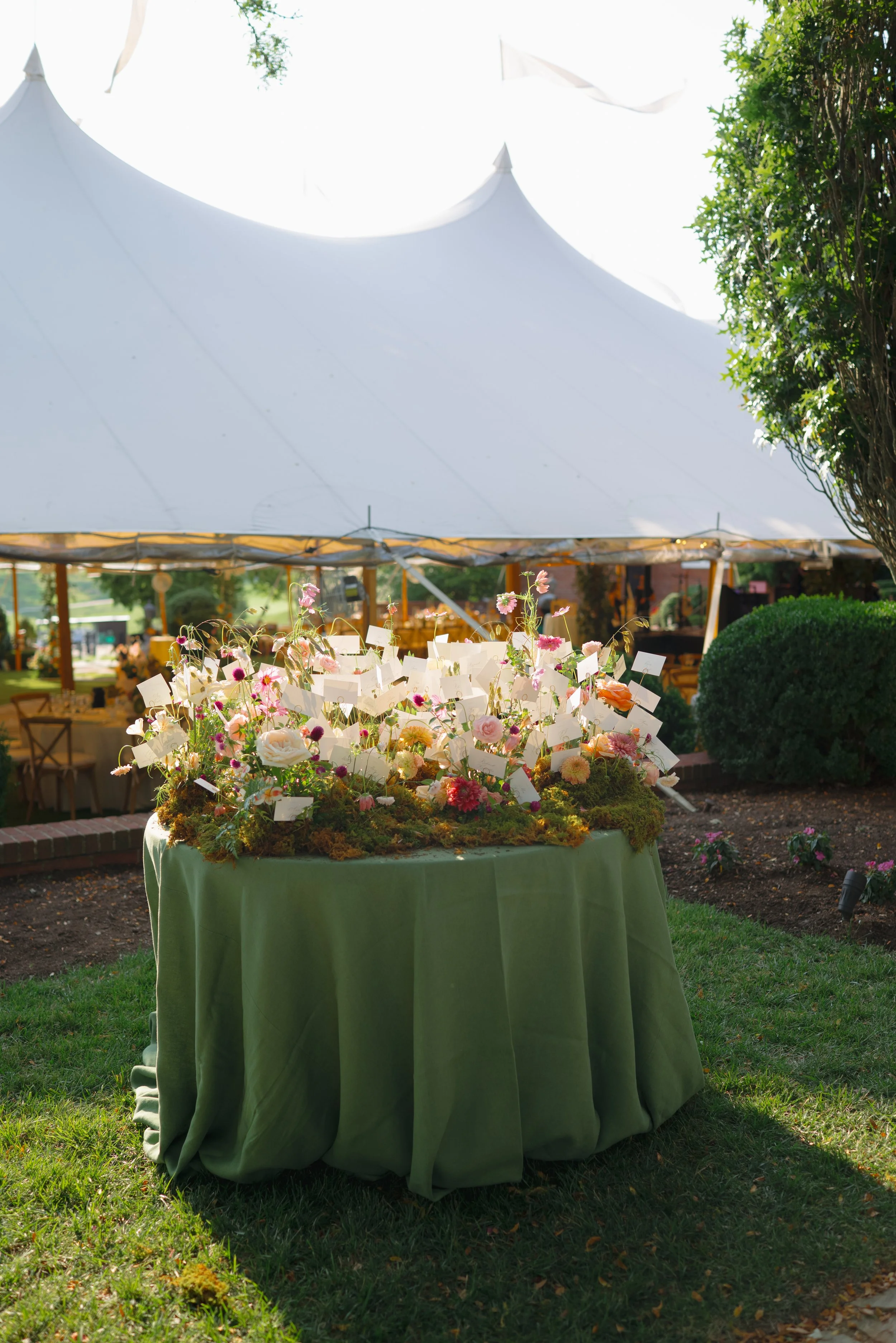 allielizabethphoto-malacrea-239.jpg