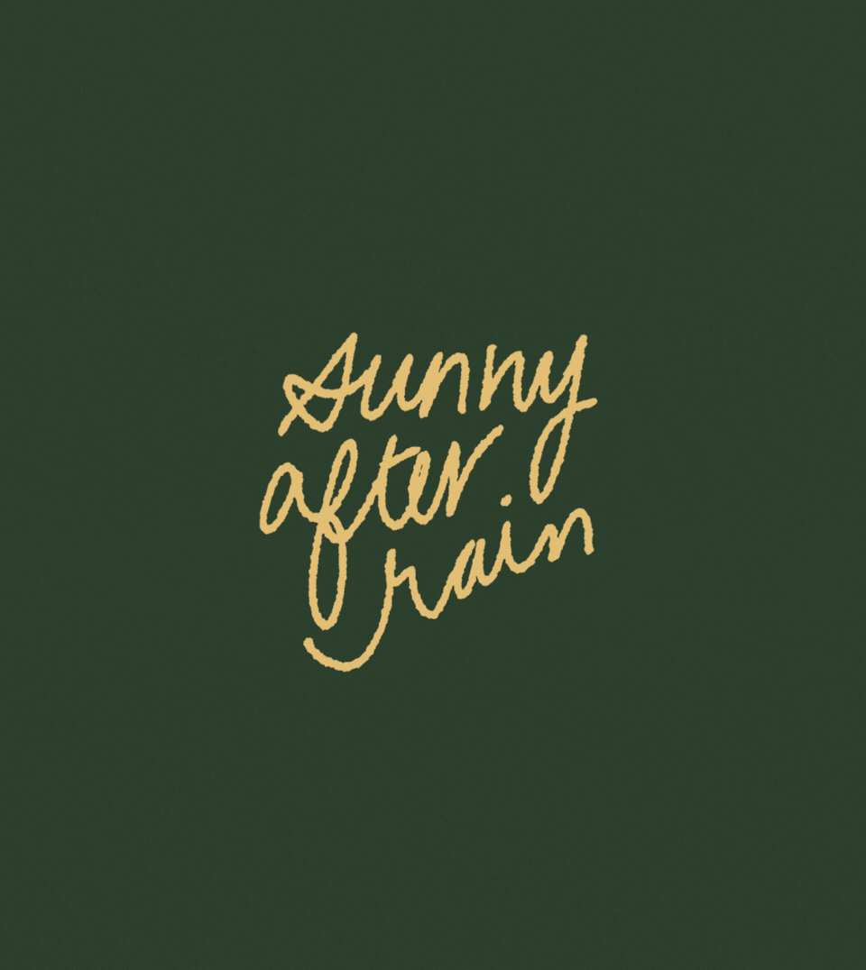 Sunny After Rain Brand Guidelines.gif