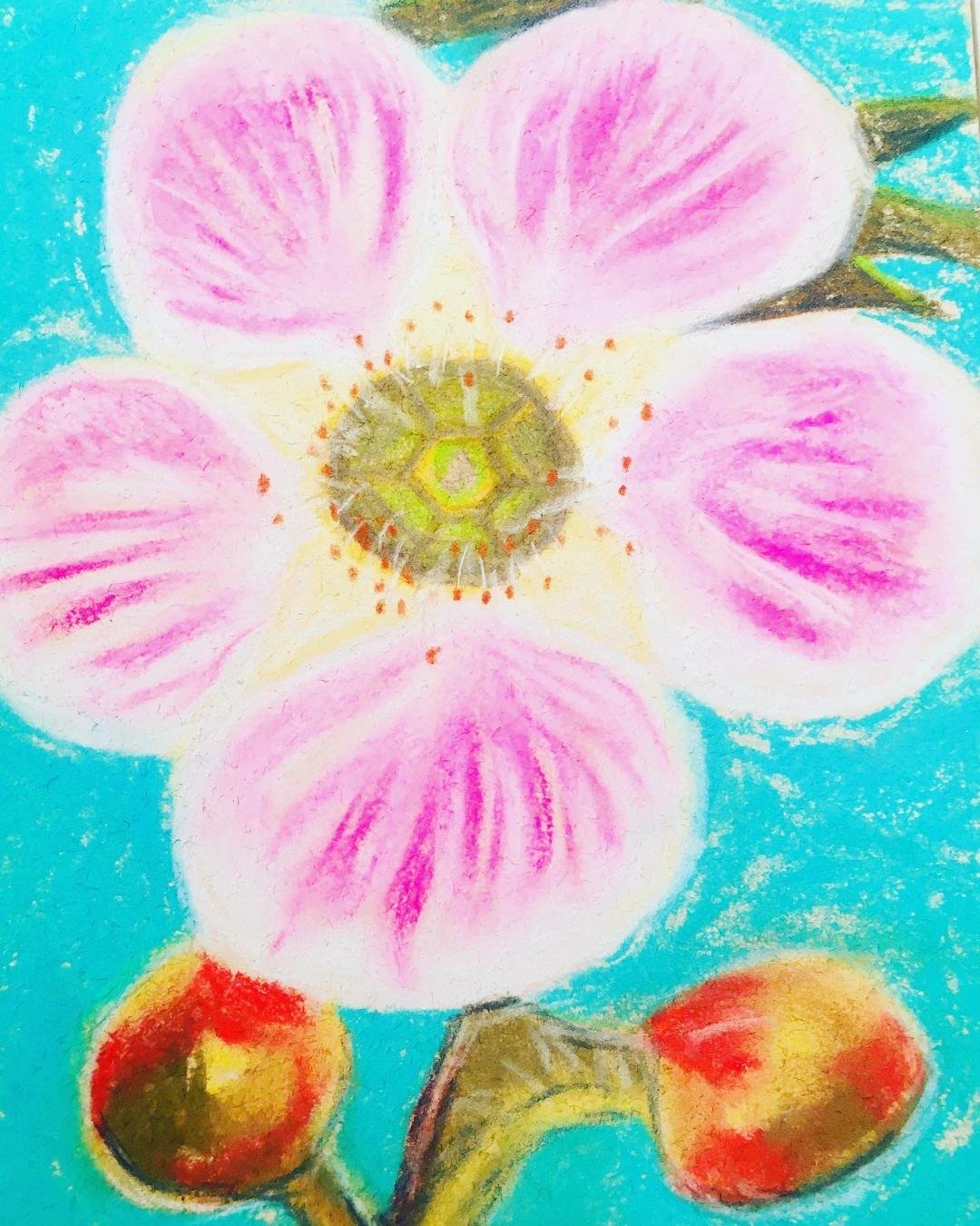 thumbnail (6).jpeg