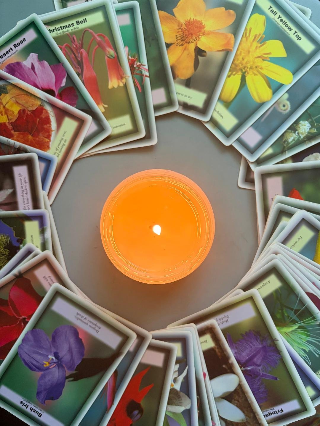 flower insight cards.jpg