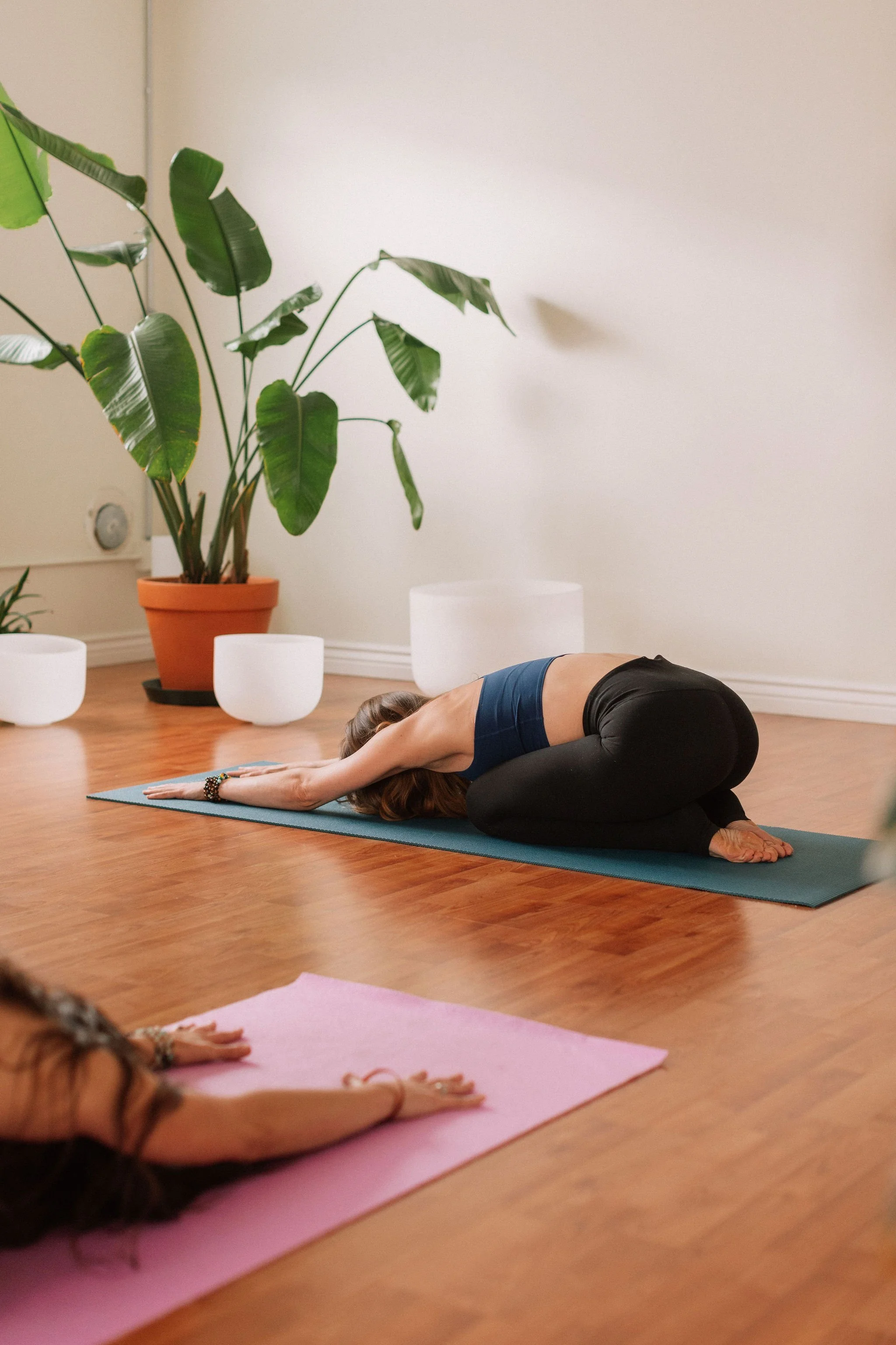 Reconnect With Your Breath