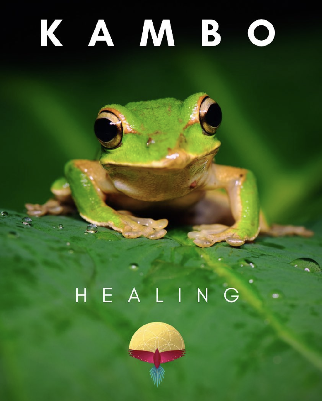 Kambo Healing