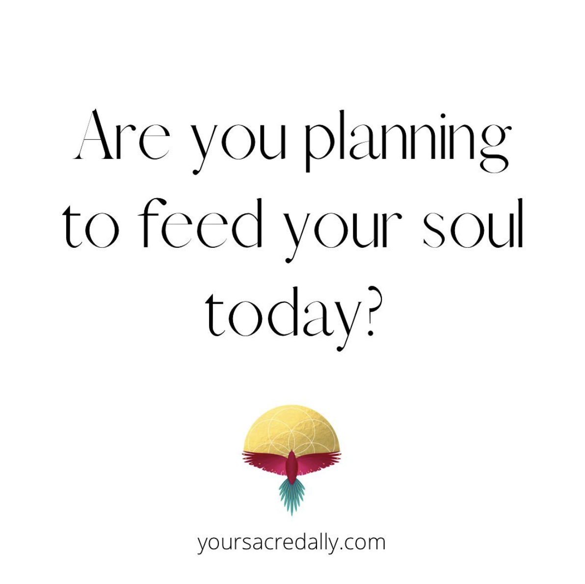 Feed Your Soul!