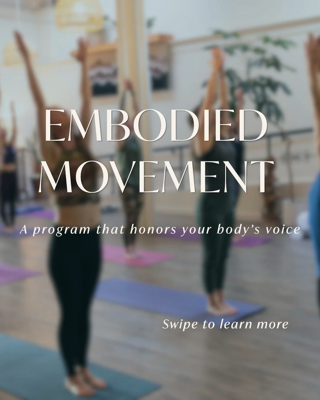 Introducing Embodied Movement Classes at Sacred Ally 

A new home for yoga, gentle movement, and somatic practices &mdash; rooted in presence, care, and nervous system support.

This is movement without performance.
Movement that listens.

Join us fo