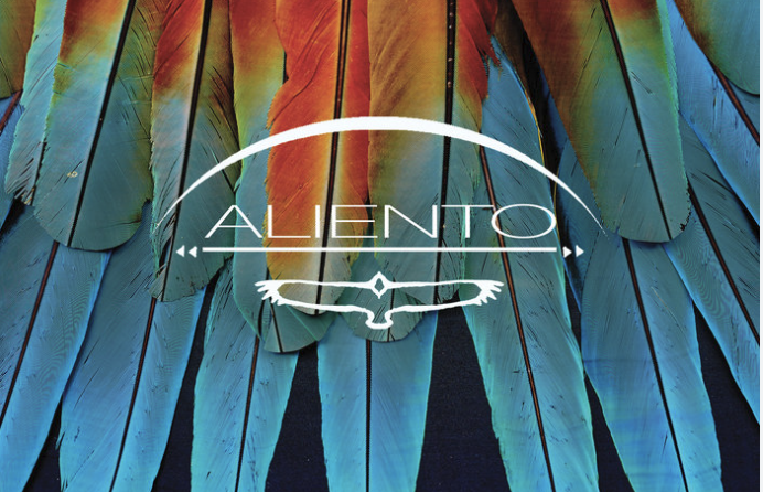 An Evening of Presence