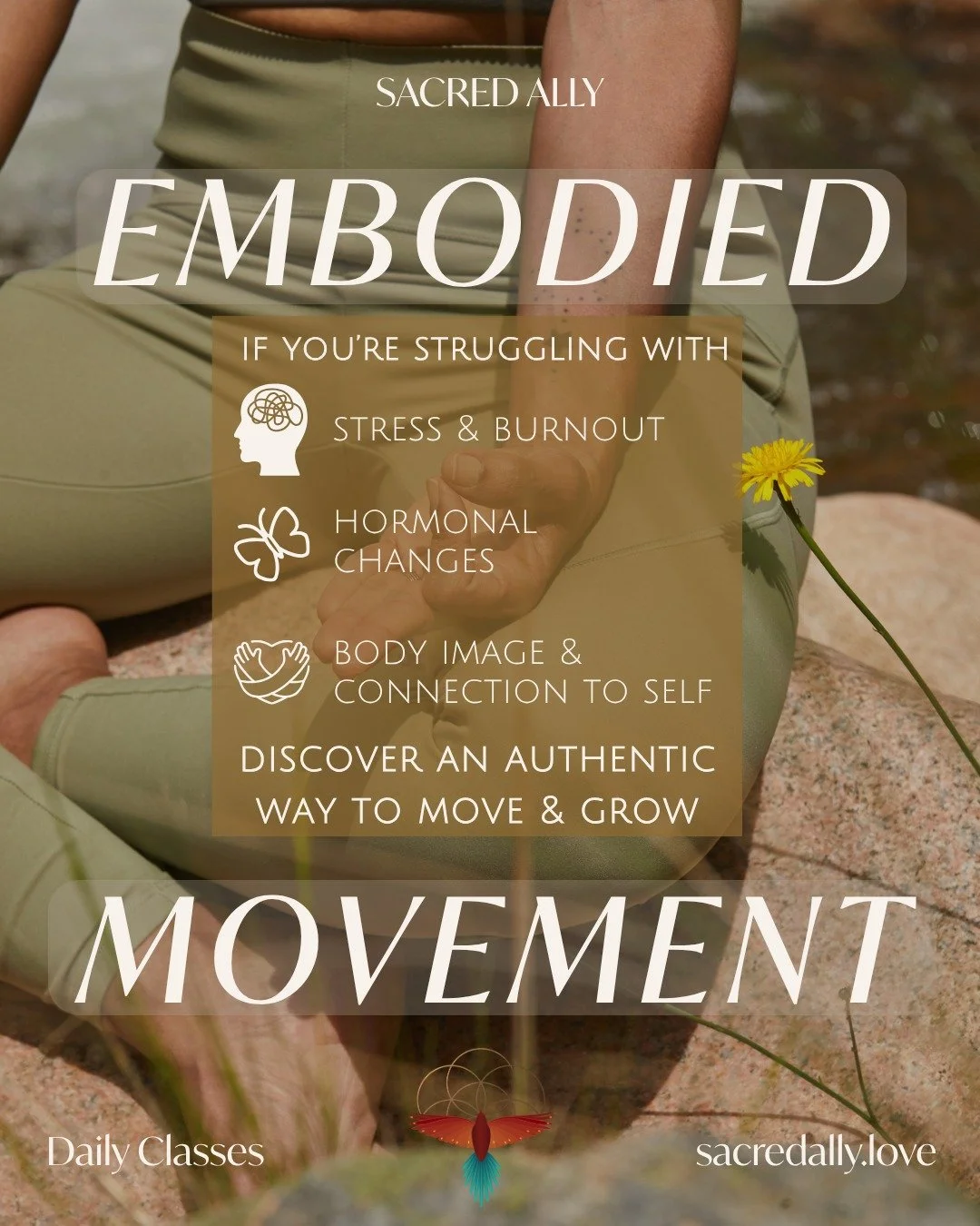 Your body is carrying your story, no matter what season of life you are in.

At Sacred Ally, our Embodied Movement classes are designed to support your whole self. Through intentional and expressive movement, nervous system support, and space to reco