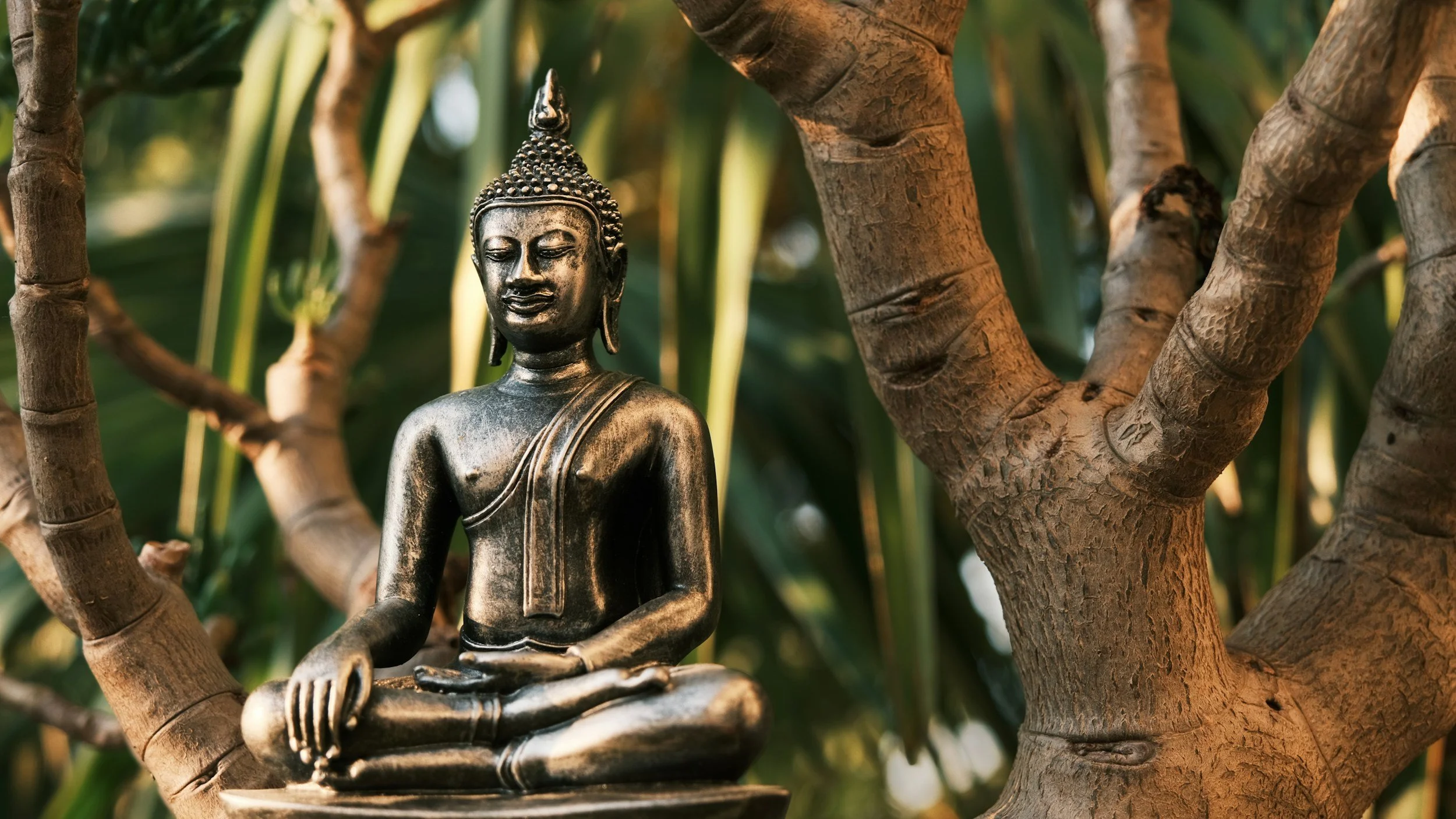 Get Grounded Meditation