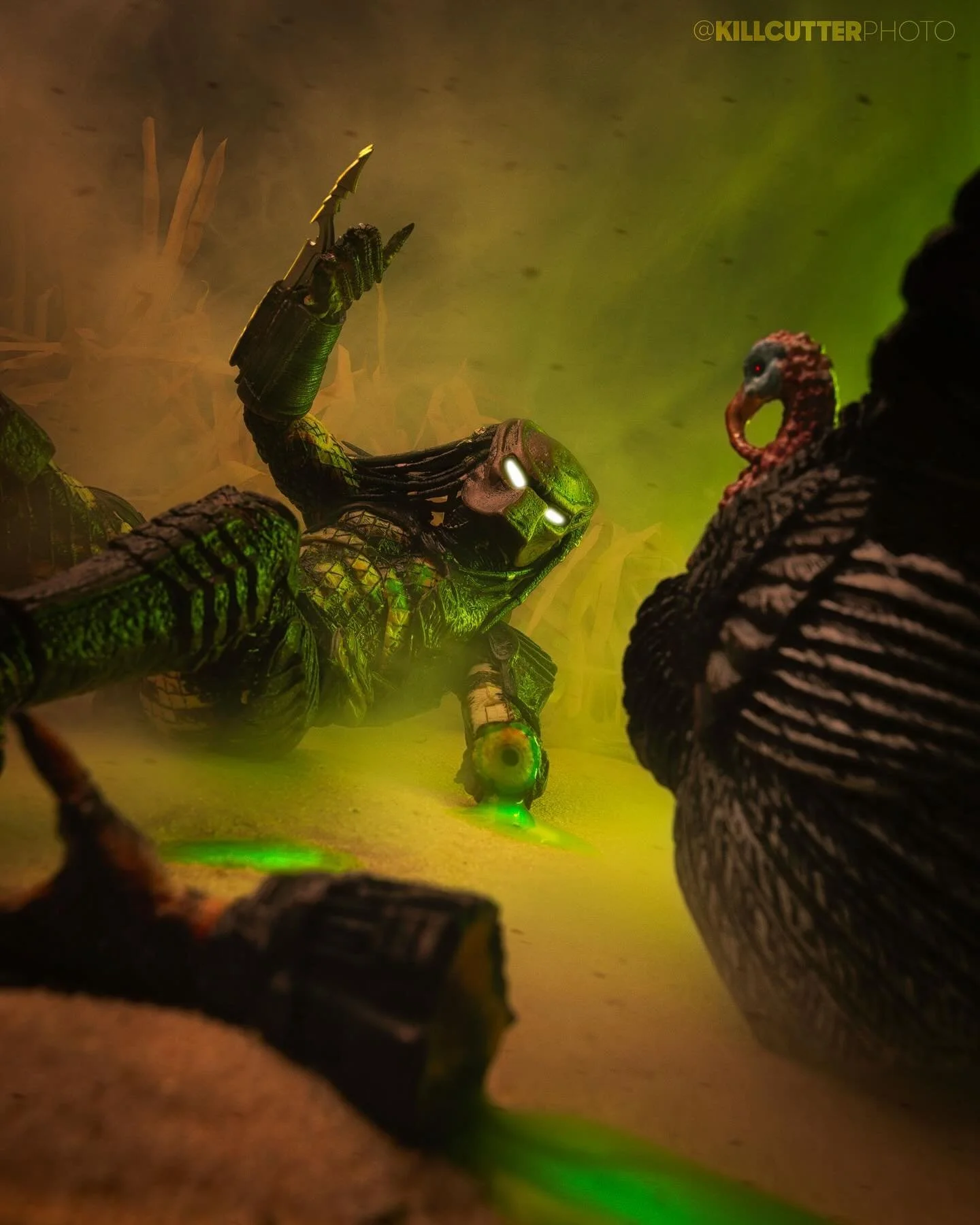 &ldquo;Fowl Play&rdquo;
I&rsquo;ve posted a Predator vs Turkey-themed Thanksgiving posts the past 2 years and thought I should keep the tradition going. Who doesn&rsquo;t love a good underdog (underturkey?) story?? 

A heartfelt thank you to everyone