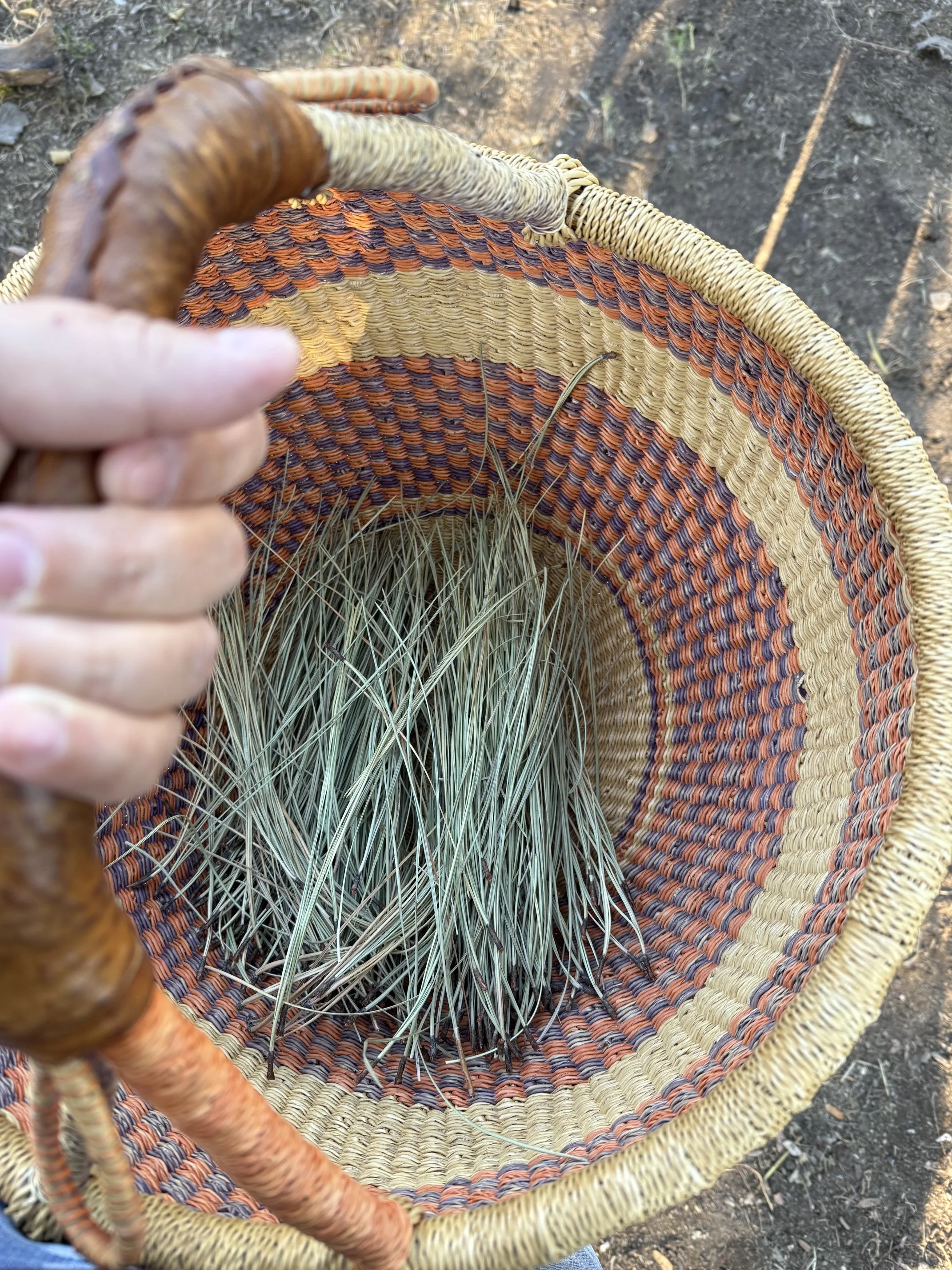 oraged California pine needles collected in a woven basket in an artist's pottery studio – Jaime Franco Art.