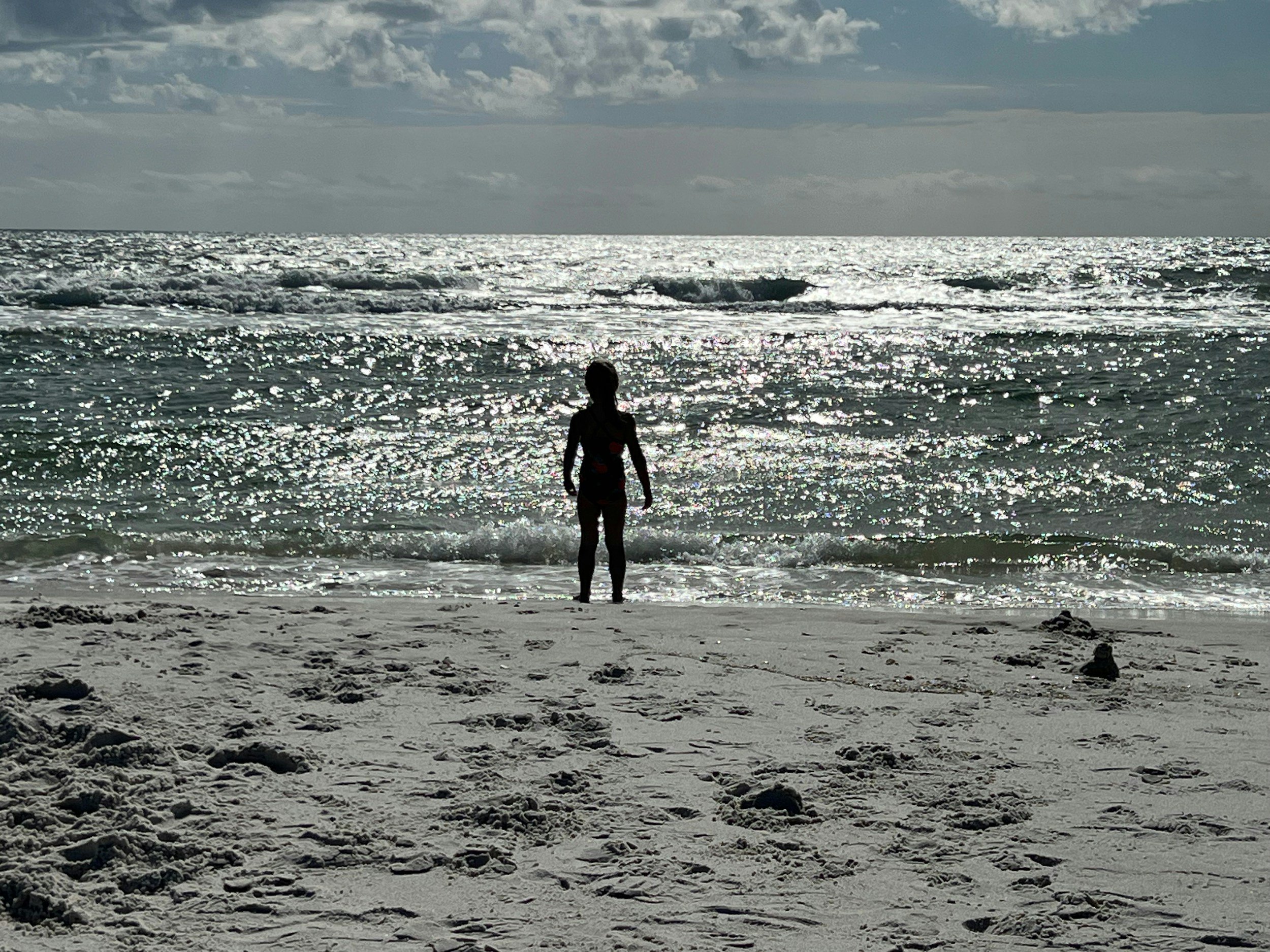 School’s back! Marine biosecurity in the classroom&nbsp;