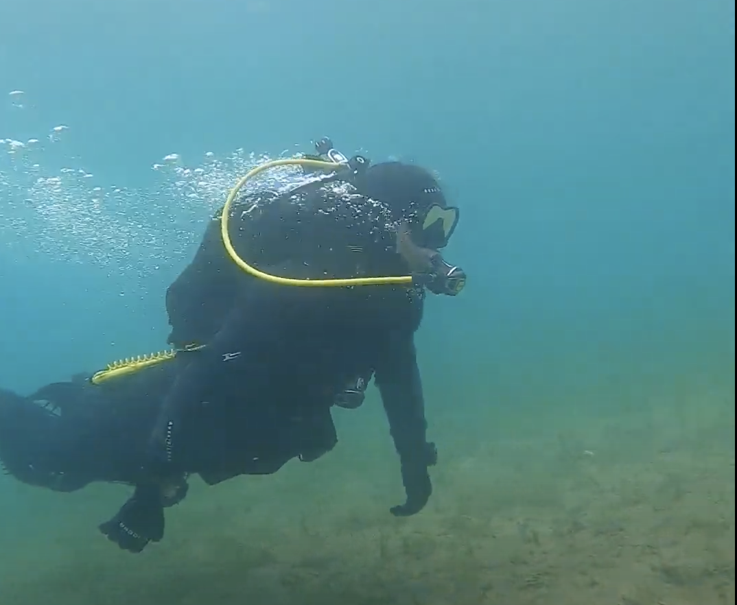Great Barrier Diver.png