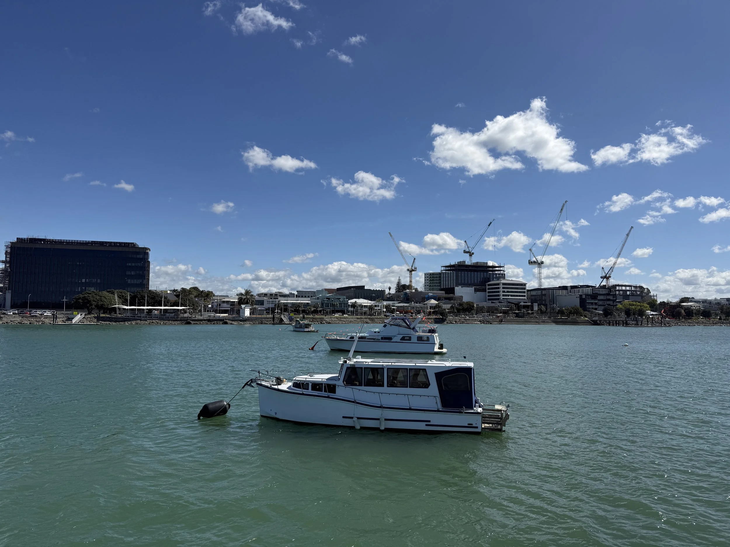 IMG_5008.jpeg
